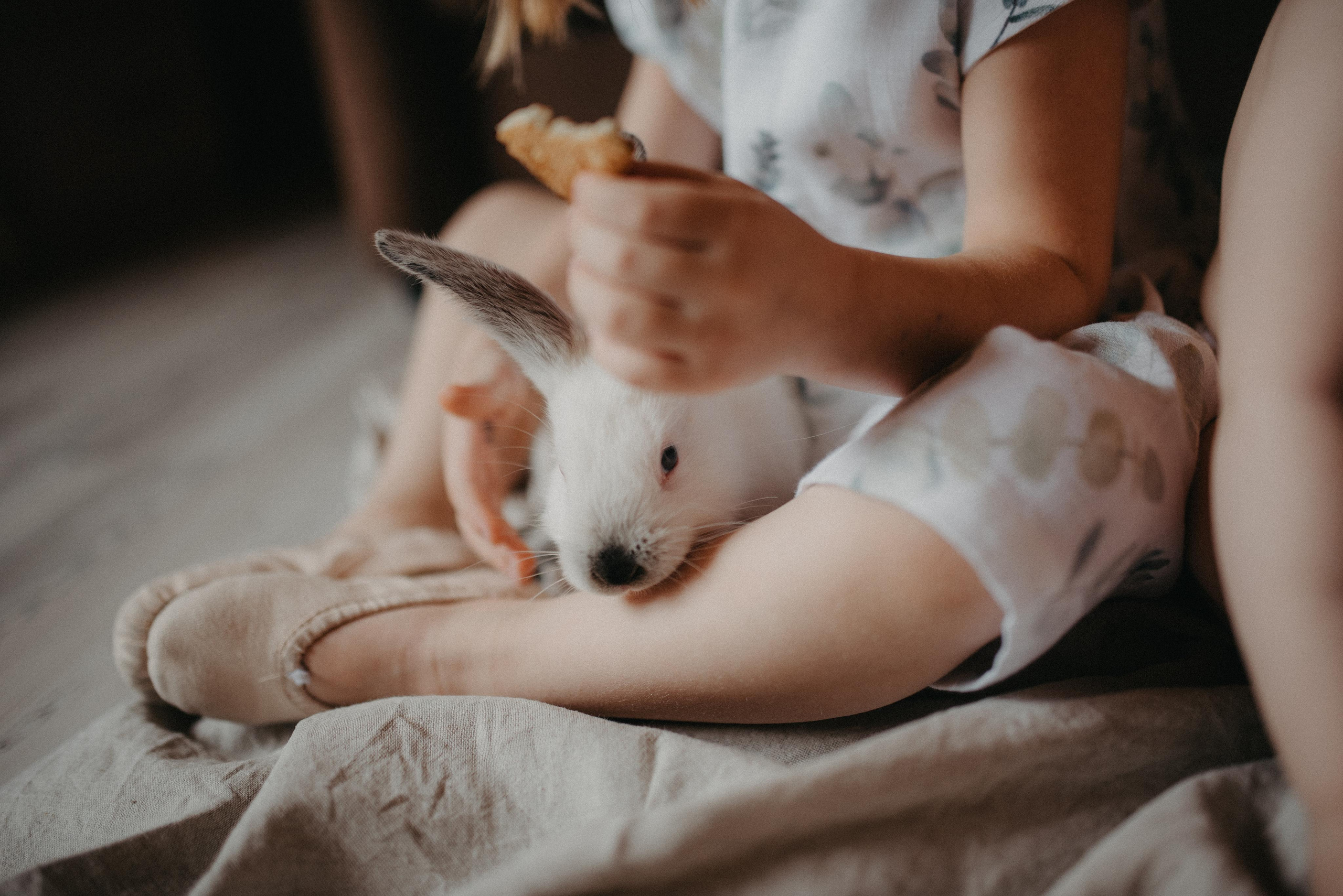 Пасхальный гость. Главная