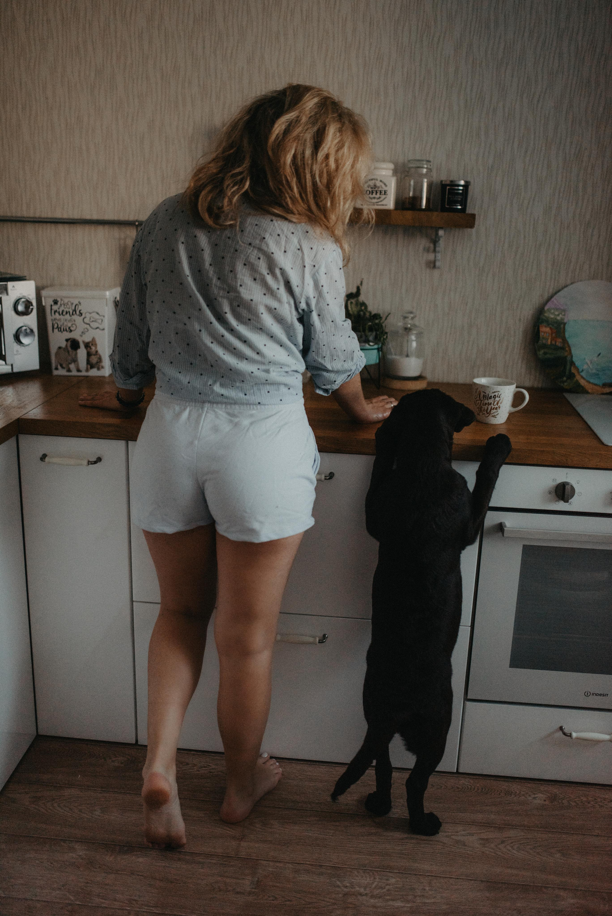 Новый друг. Главная