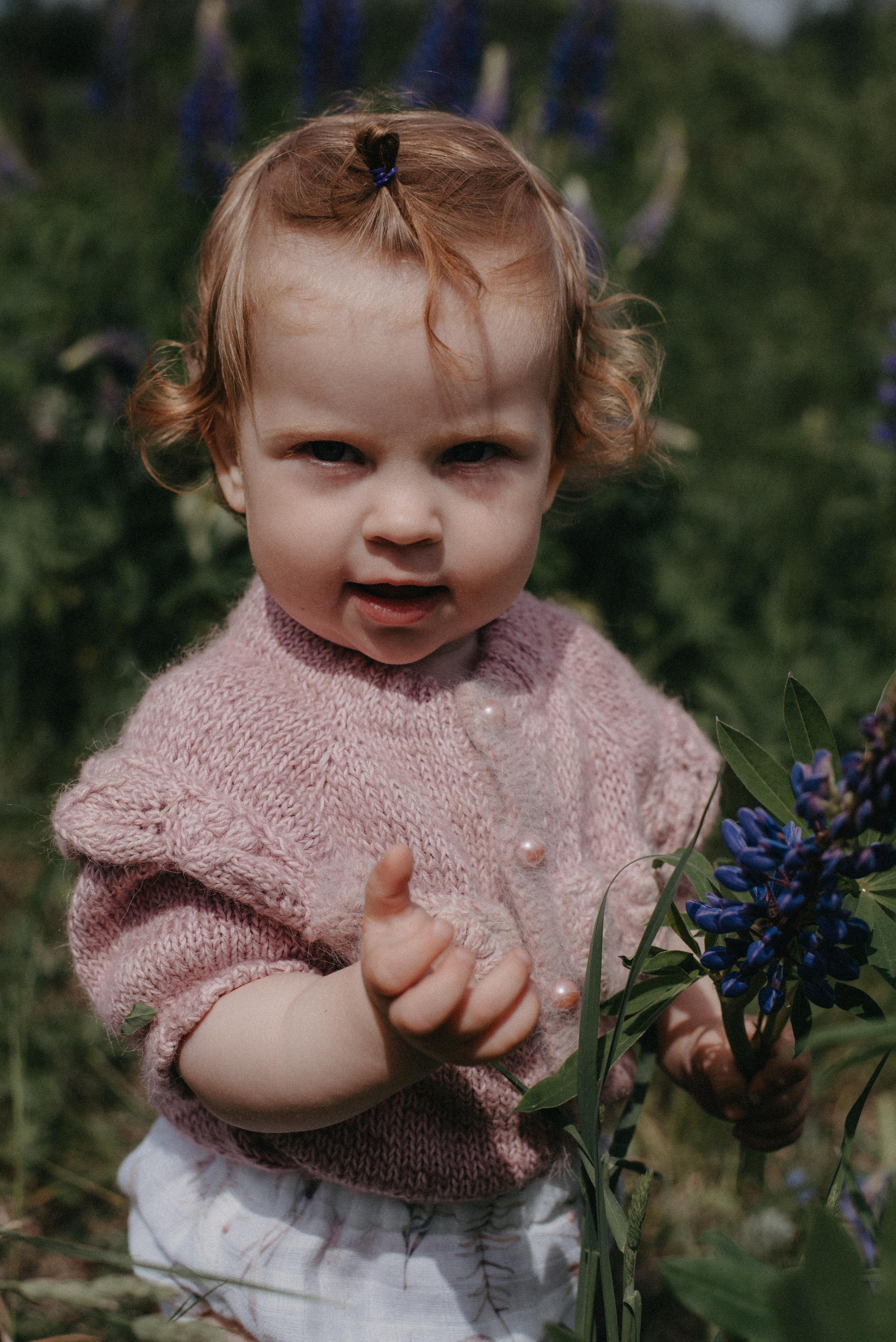 Люпины. Главная