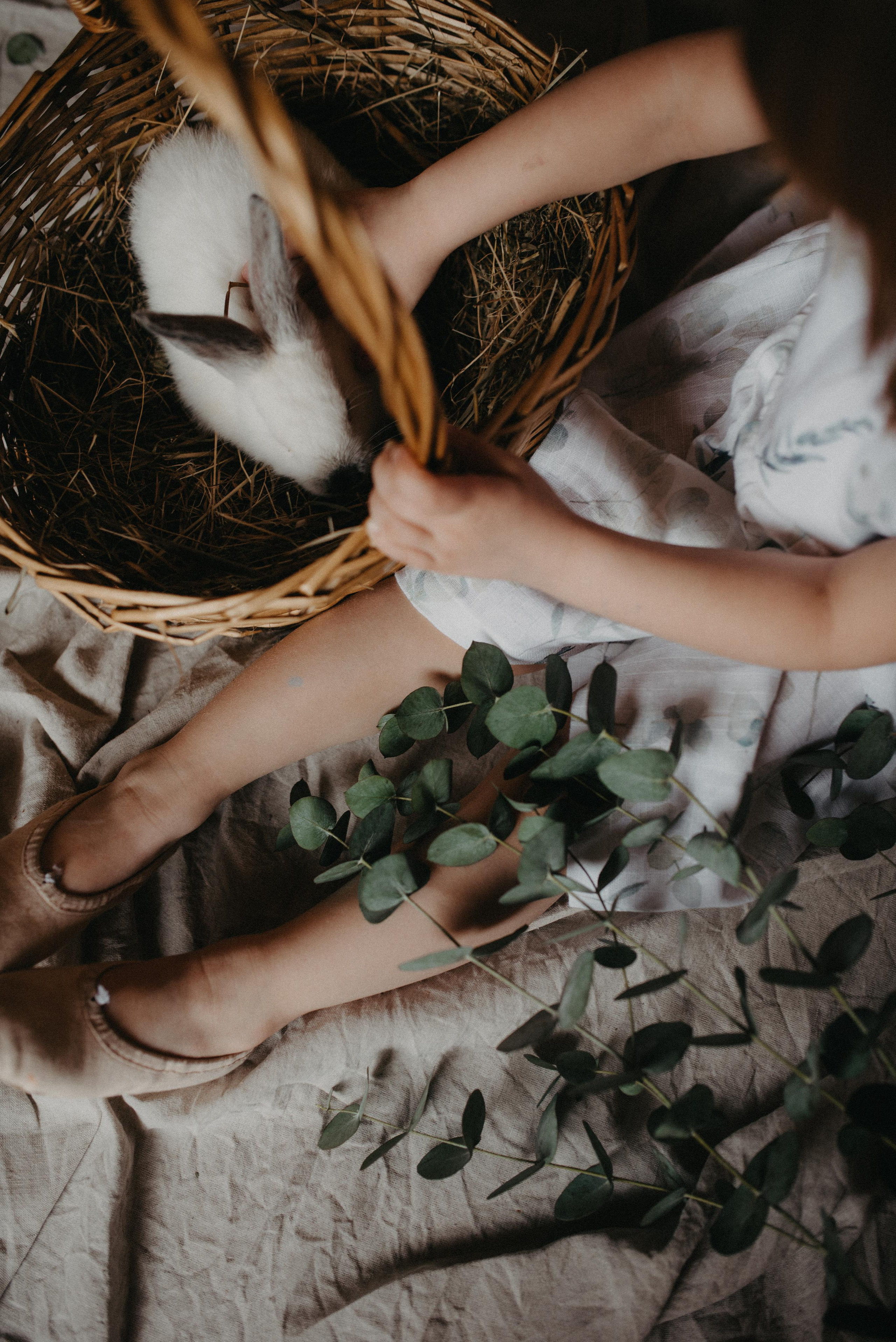 Пасхальный гость. Главная