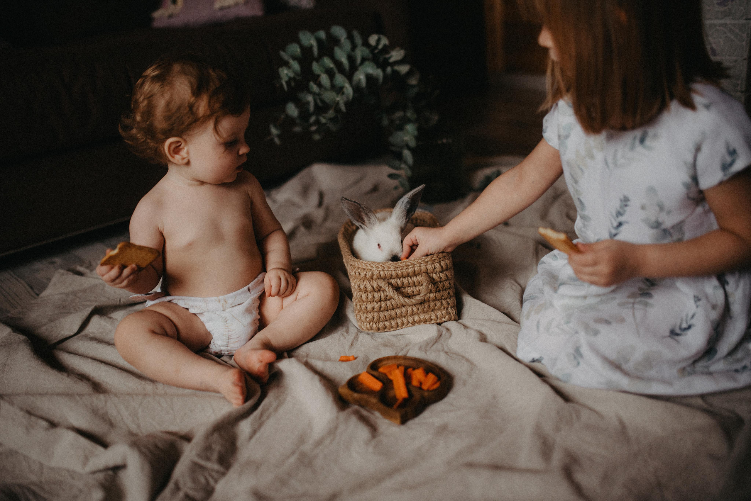 Пасхальный гость. Главная