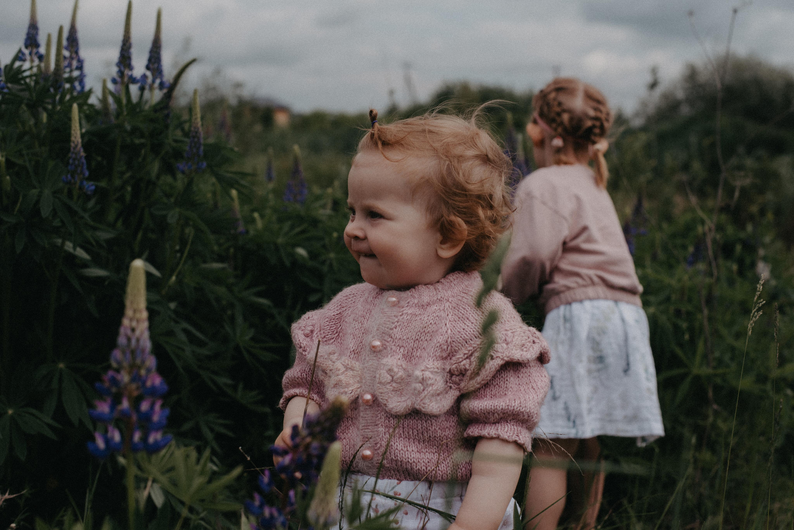 Люпины. Главная