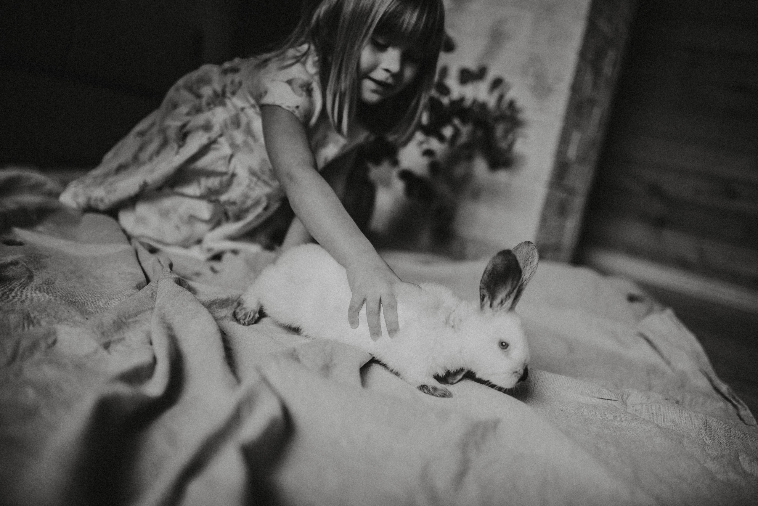 Пасхальный гость. Главная