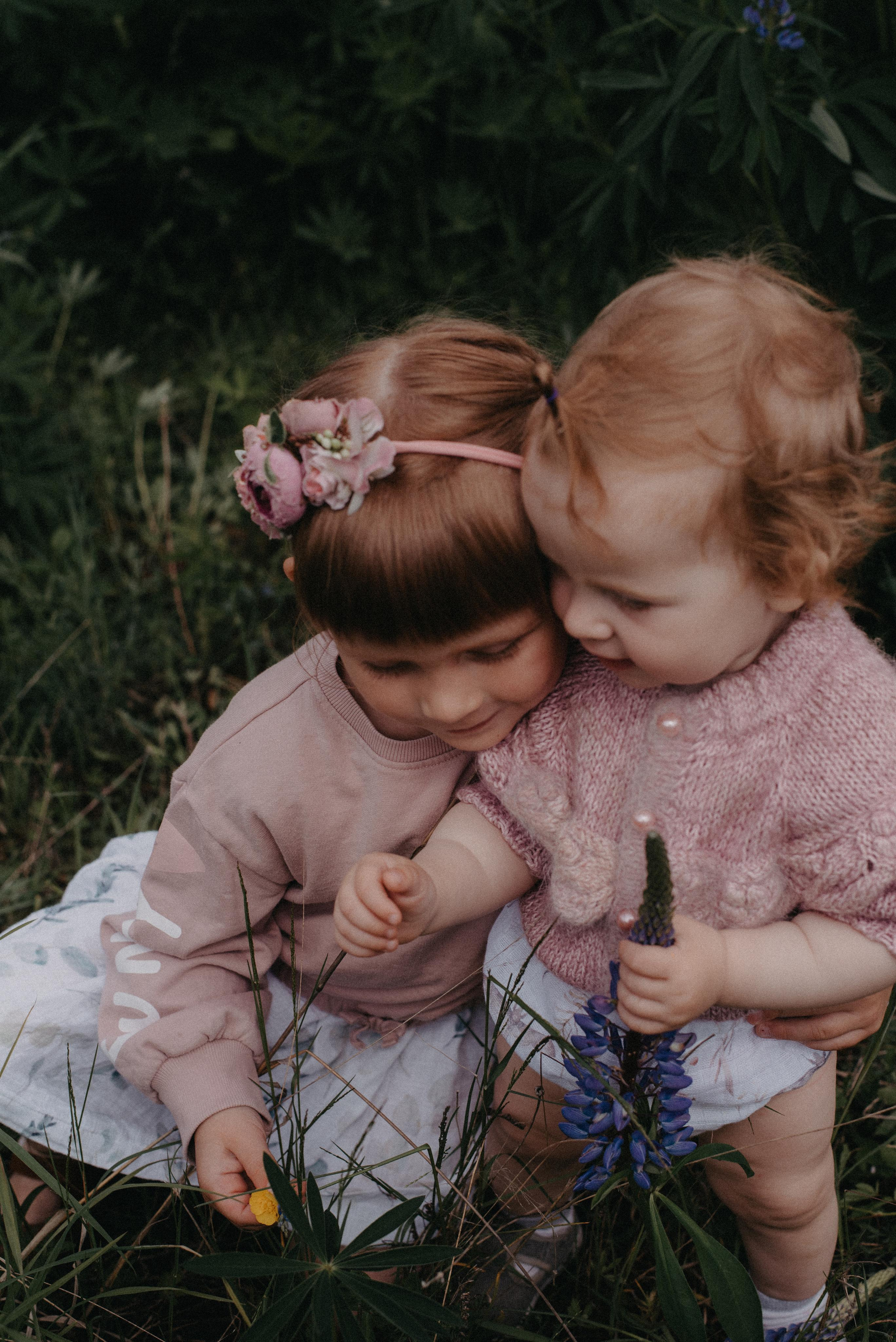 Люпины. Главная