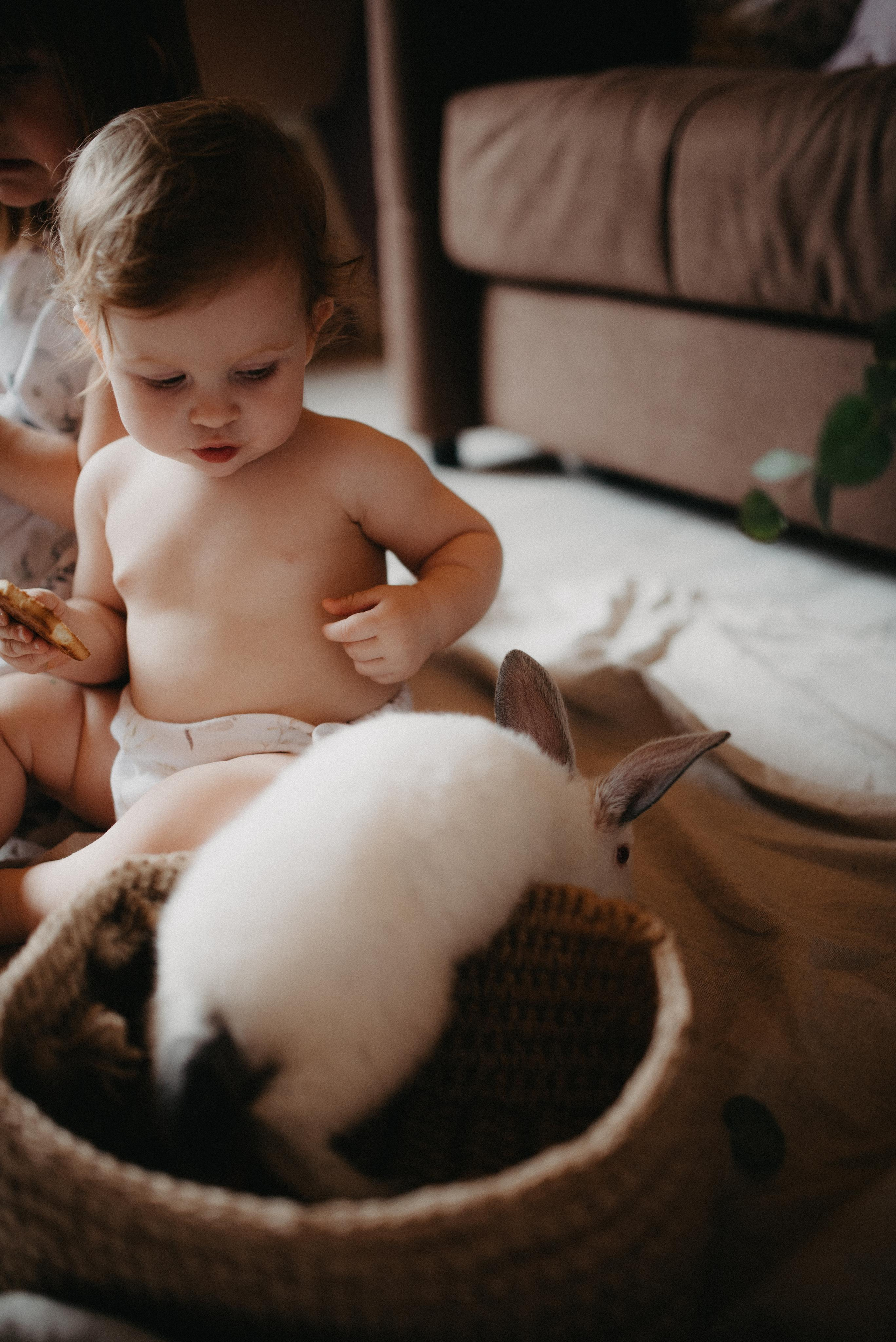 Пасхальный гость. Главная