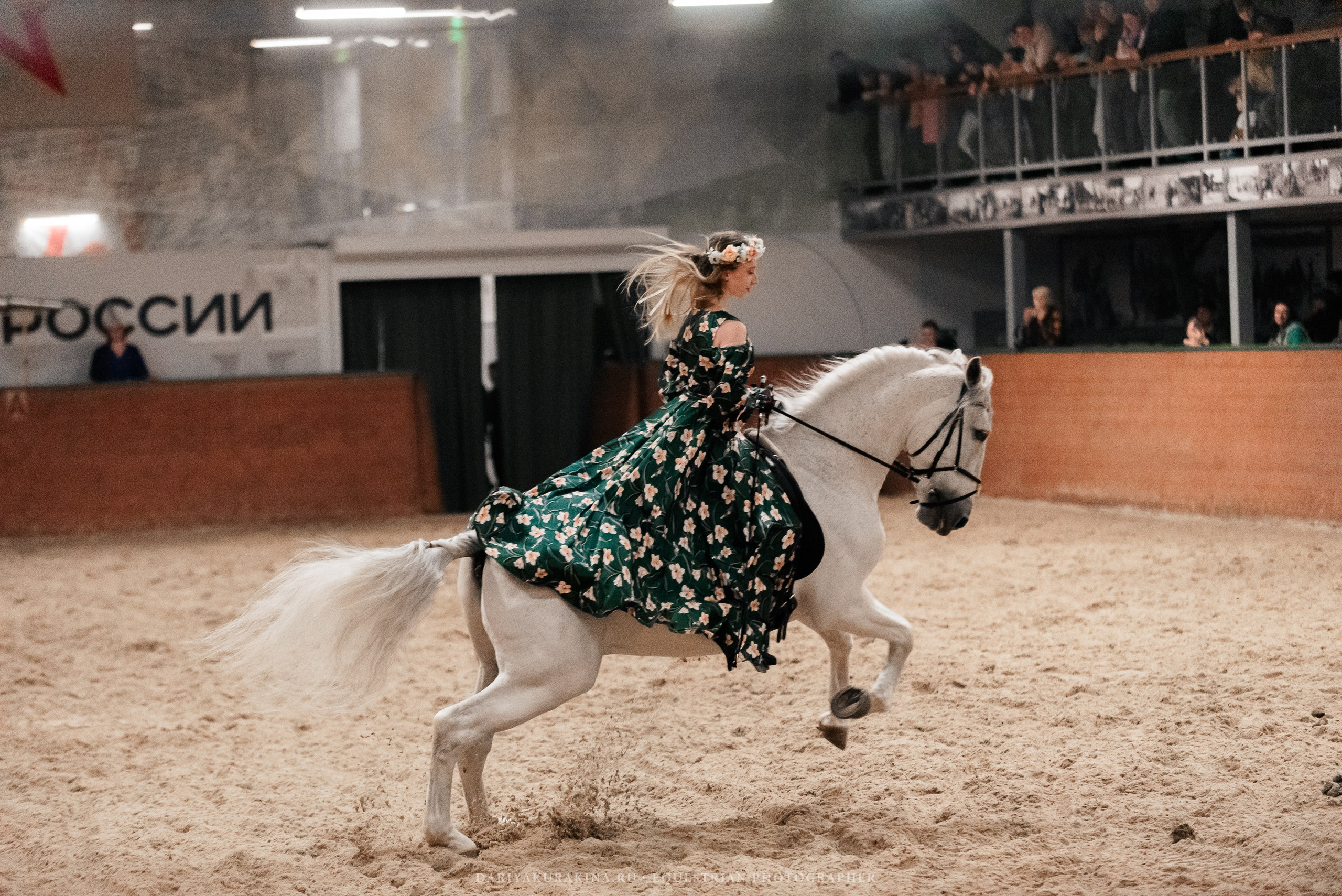 Конное представление «Дыхание Звёзд». Конный фотограф Куракина Дарья • Фотосессии с лошадьми