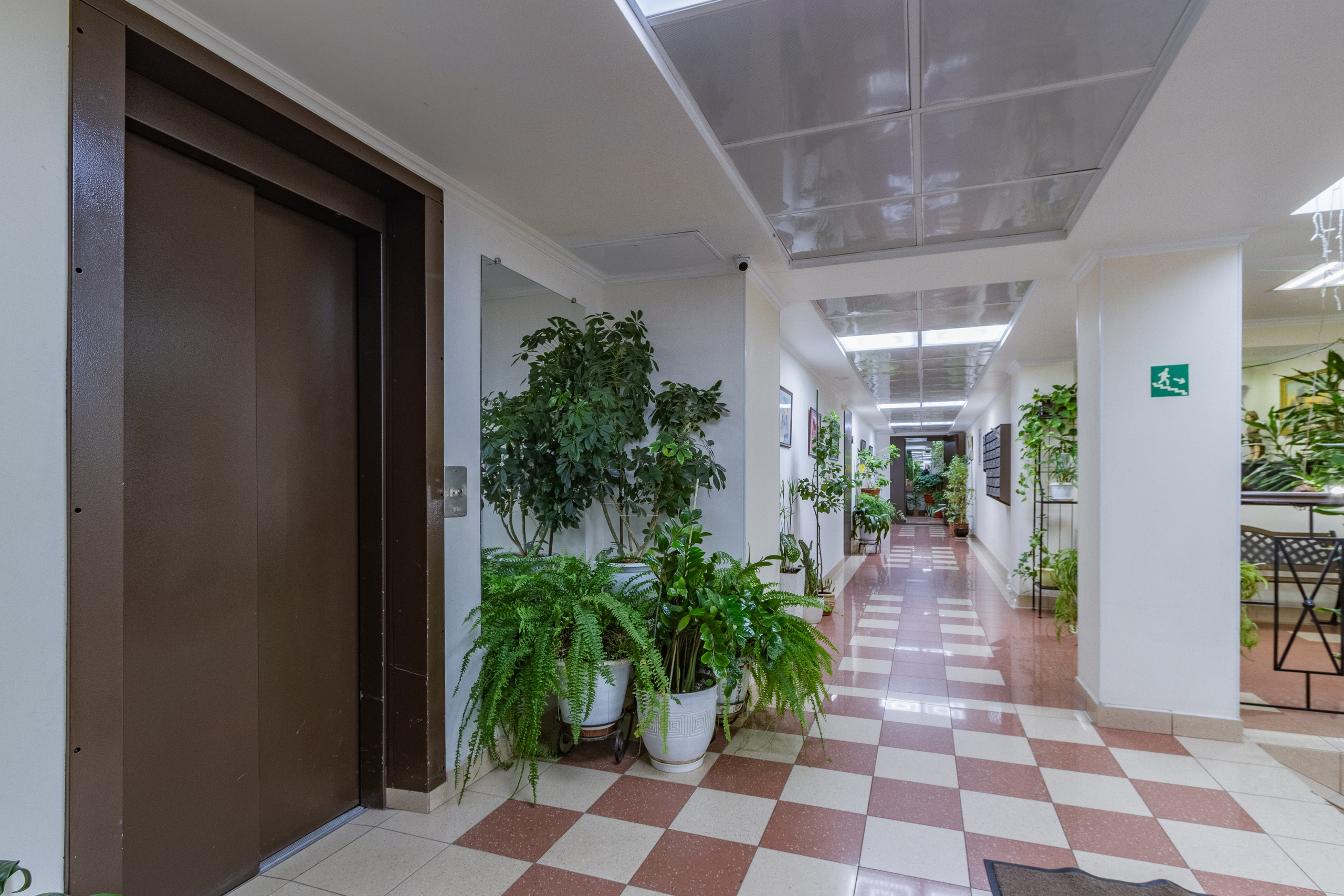 Парадные. Упаковка Недвижимости