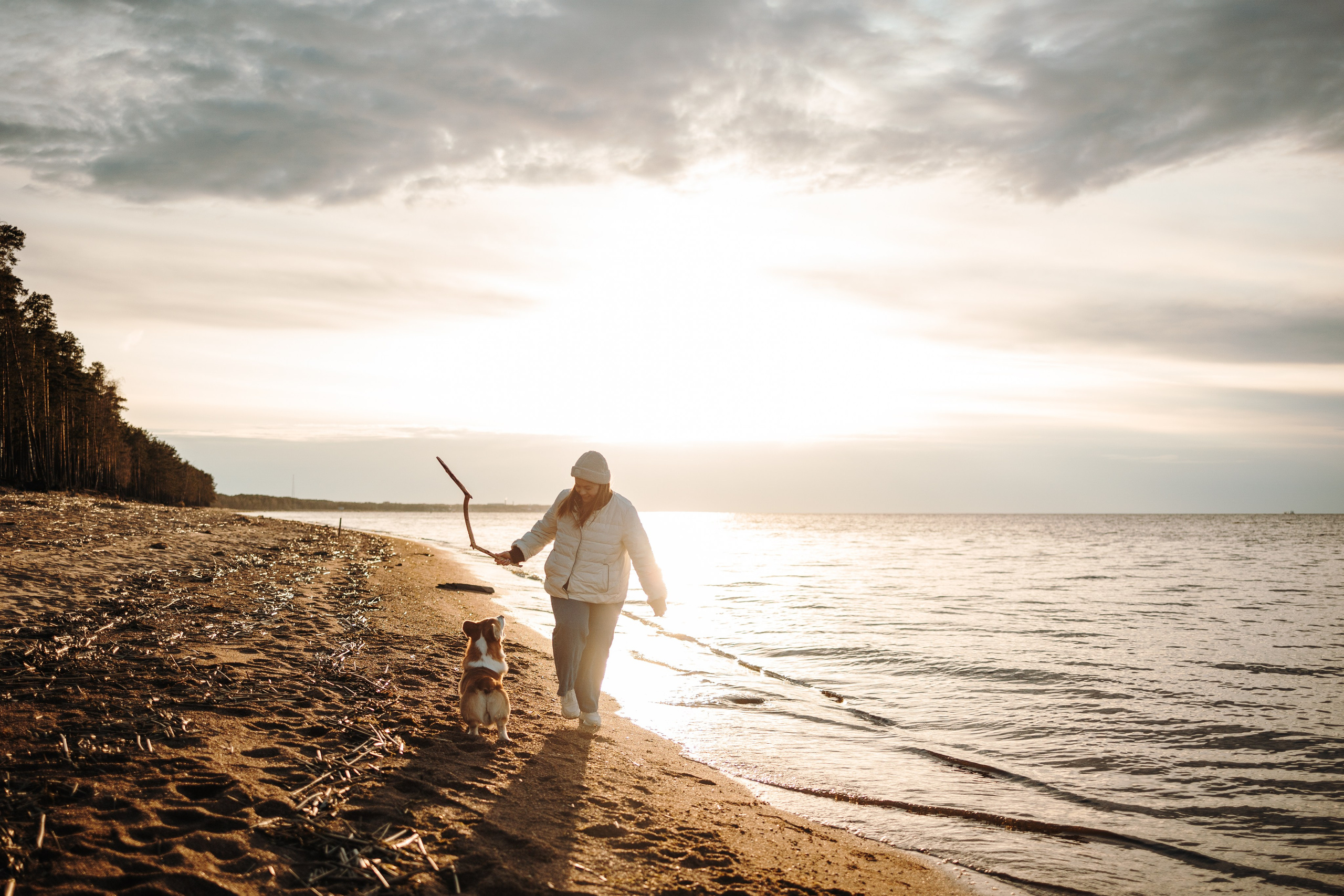 Найт и его семья. Фотограф — Анималист | Санкт-Петербург