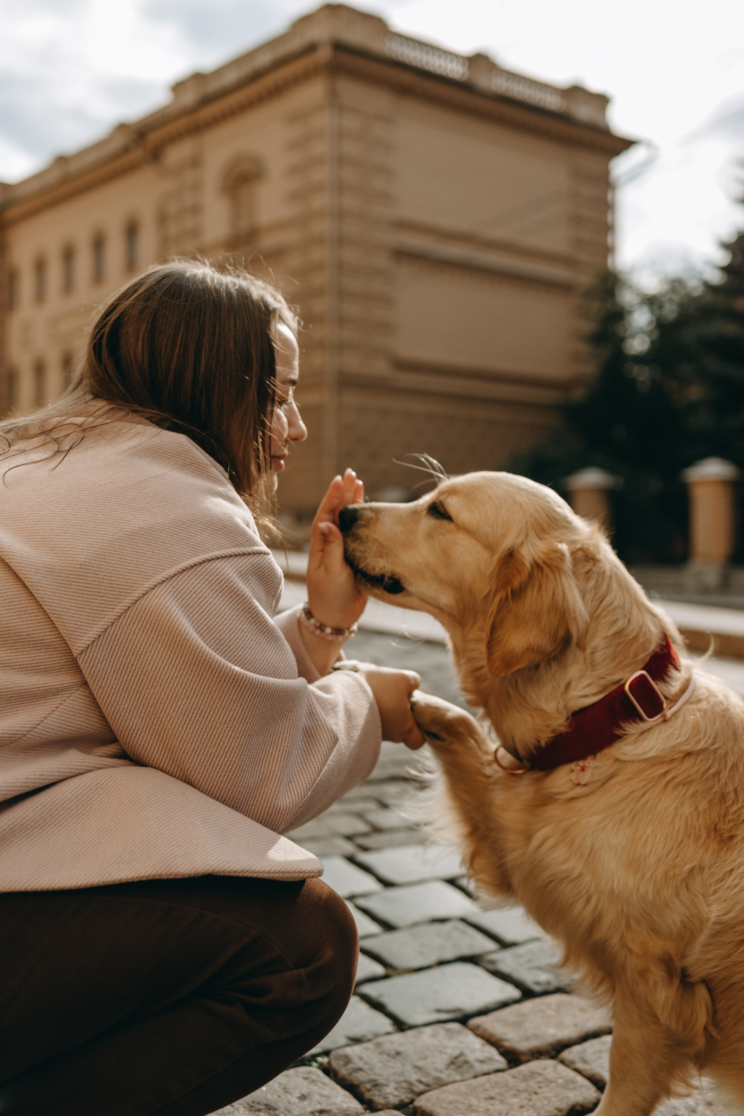 Бетти и ее семья. Фотограф — Анималист | Санкт-Петербург