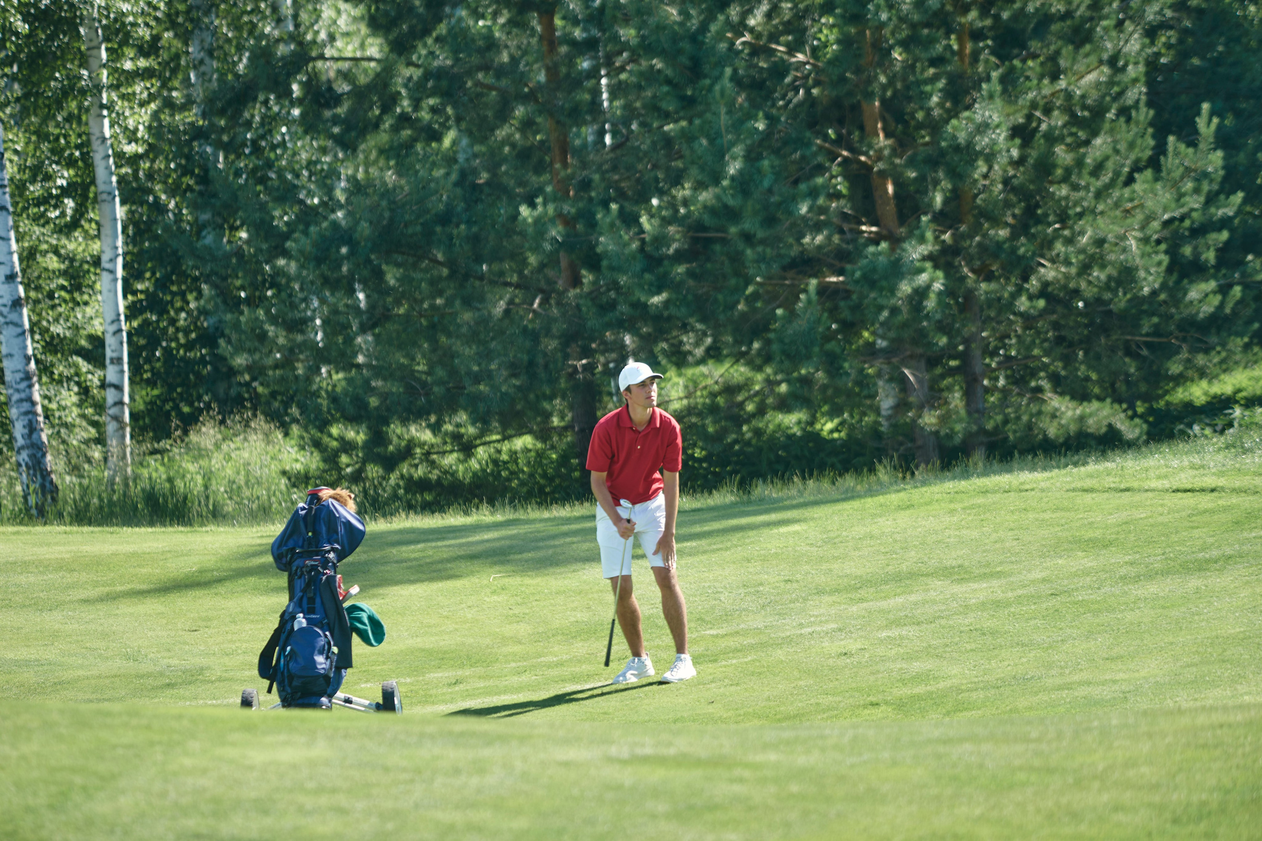 Pine Creek Cup 2024. Академия гольфа NSU в Москве. Тренировки по гольфу для детей и взрослых, тренировки для новичков