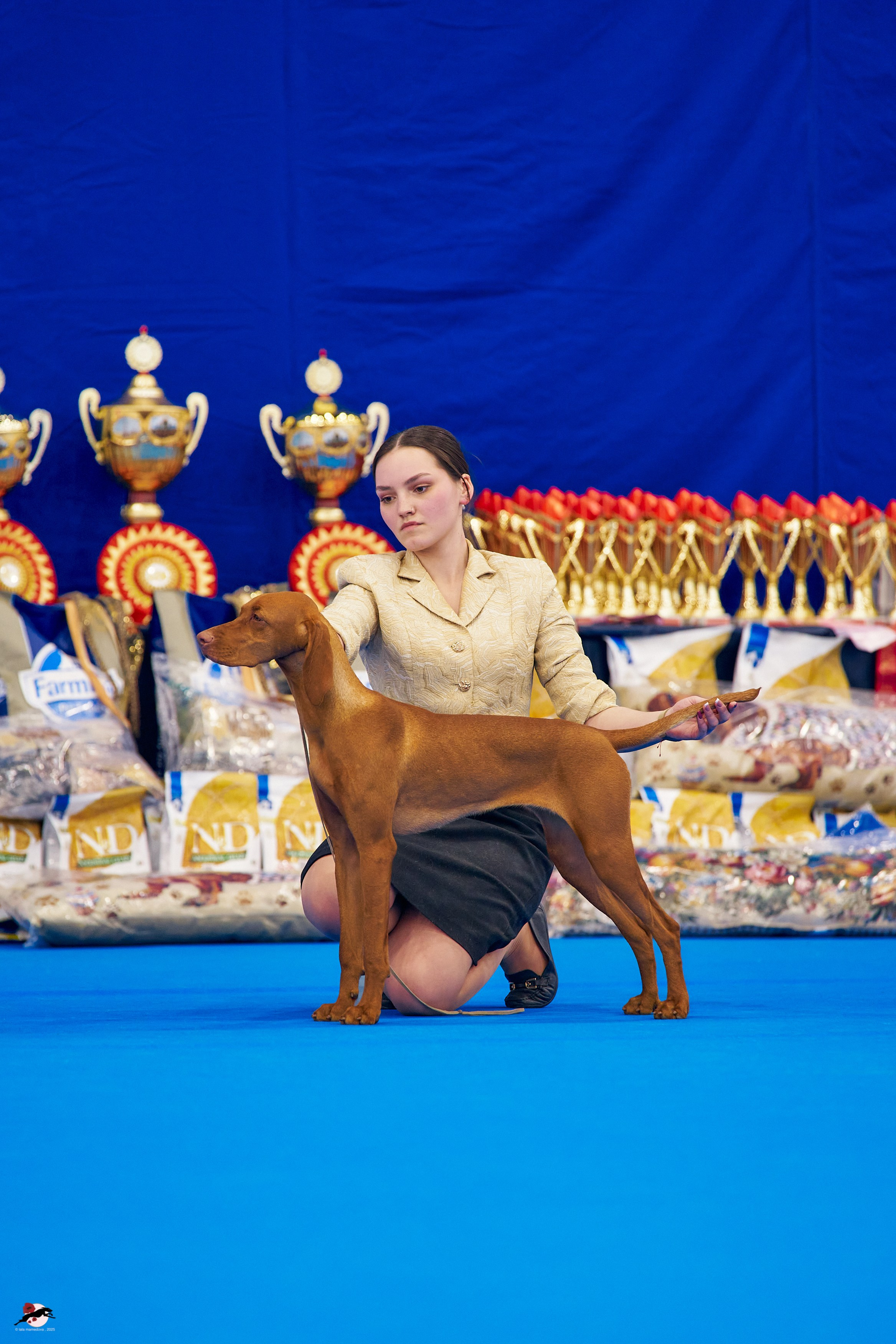 27.04.2025 | "Петербург-Элита 2025" & «КУБОК «ЭЛИТЫ»-2025»