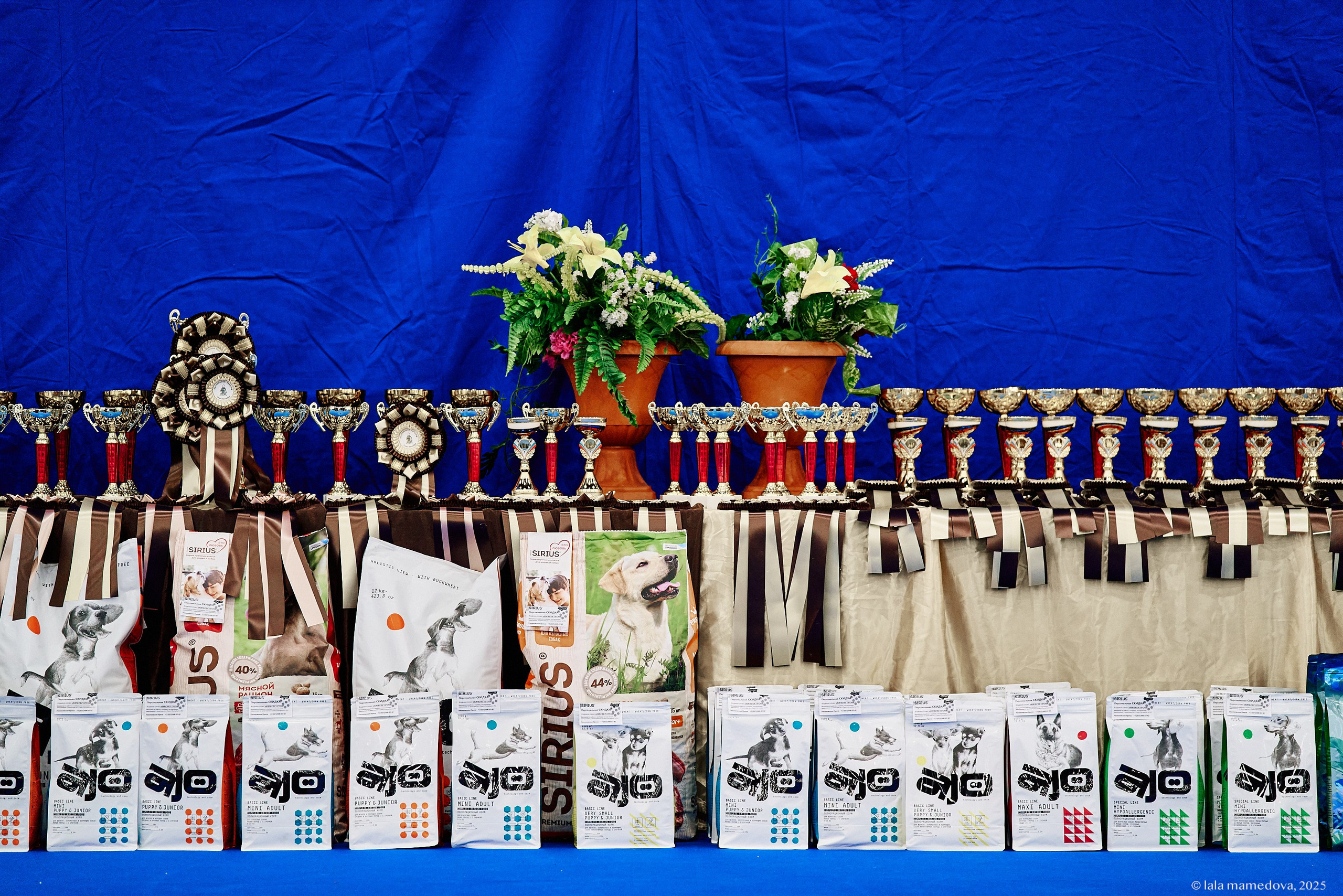 22-23 FEB 2025 | NATIONAL DOG SHOW «BALTIC TRIUMPH-2025»