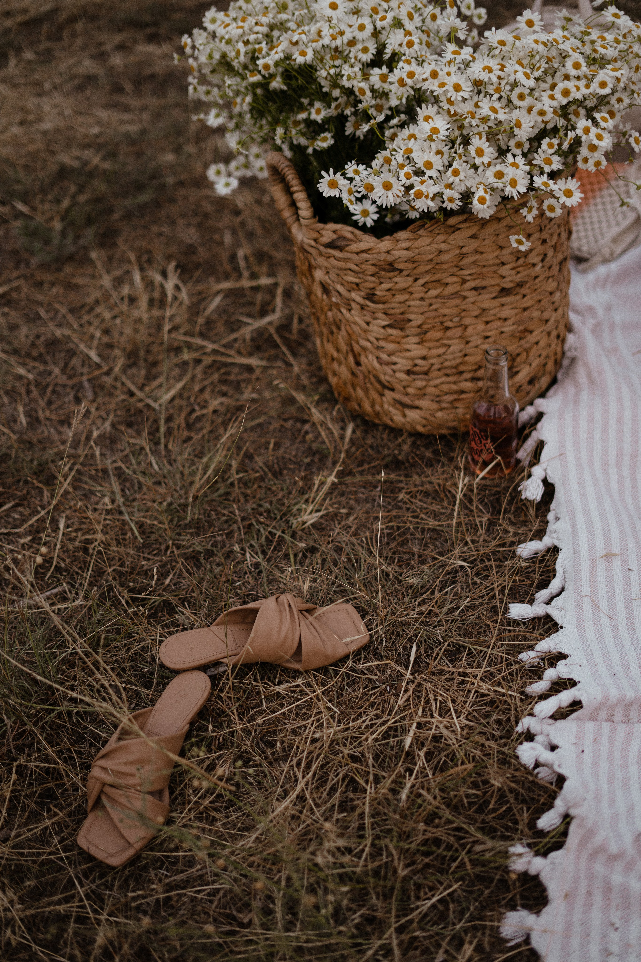 ПИКНИК. Портретный и семейный фотограф в Мариуполе, РФ. Даша Жогло