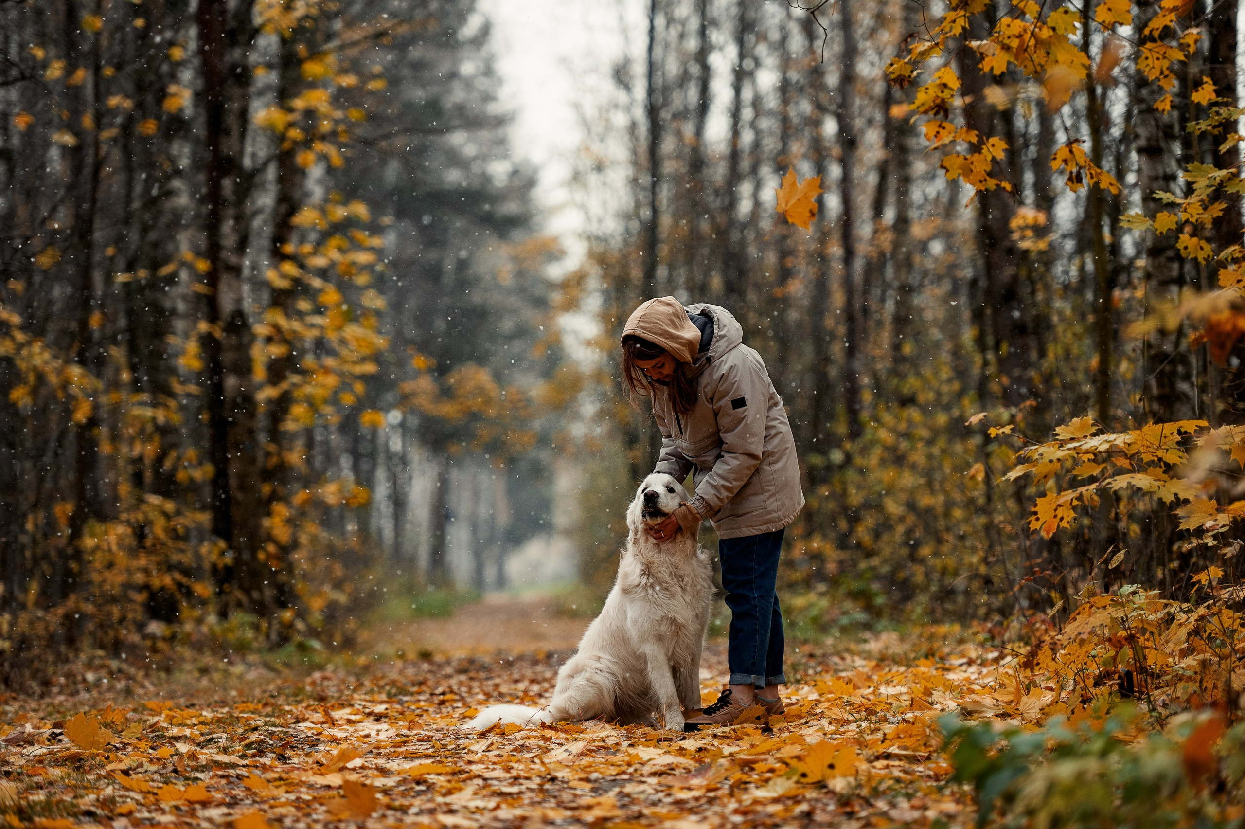 Айс и золотая осень. Фотограф-анималист