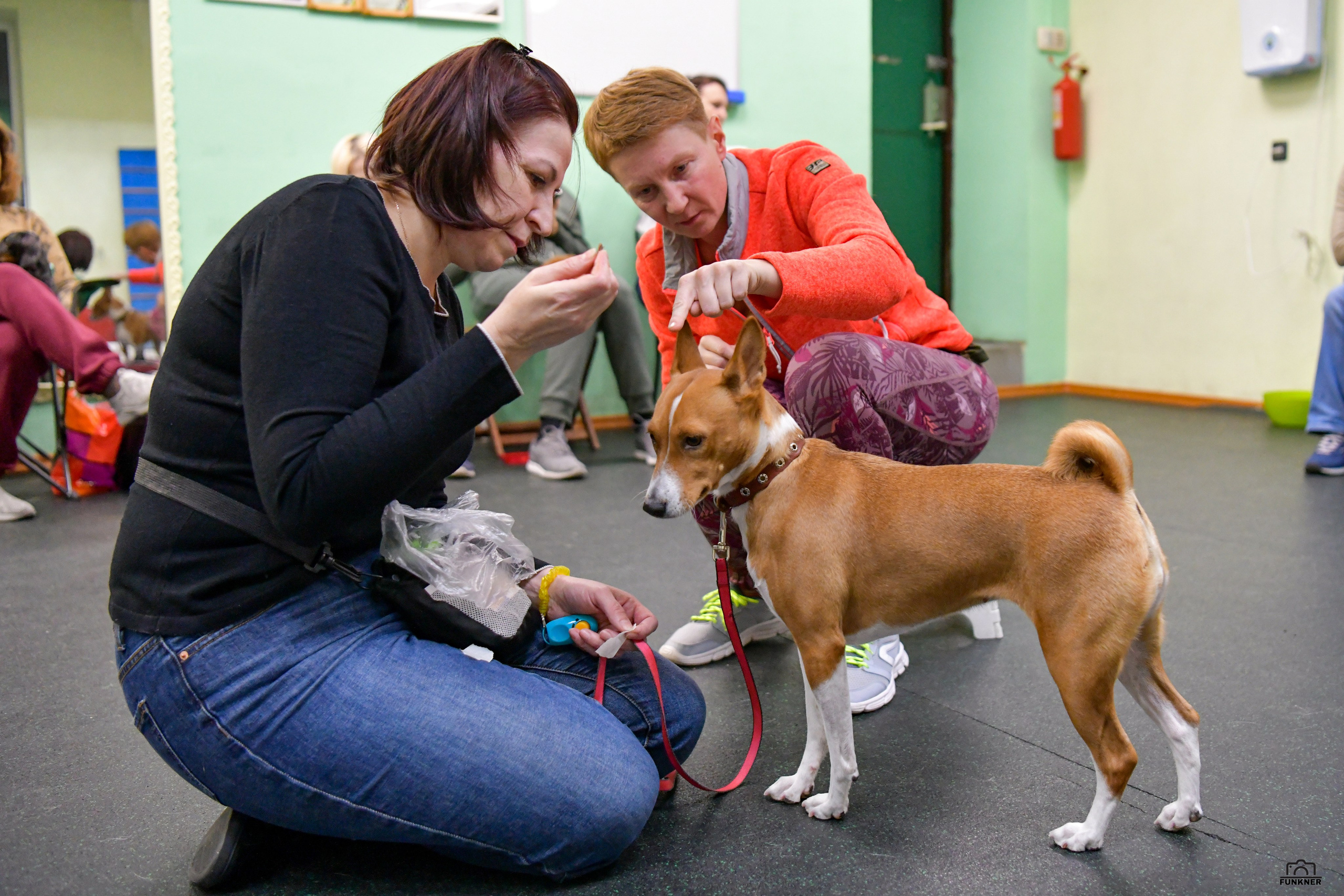 Кинологический клуб «Бодрый хвост». Свой взгляд через объектив