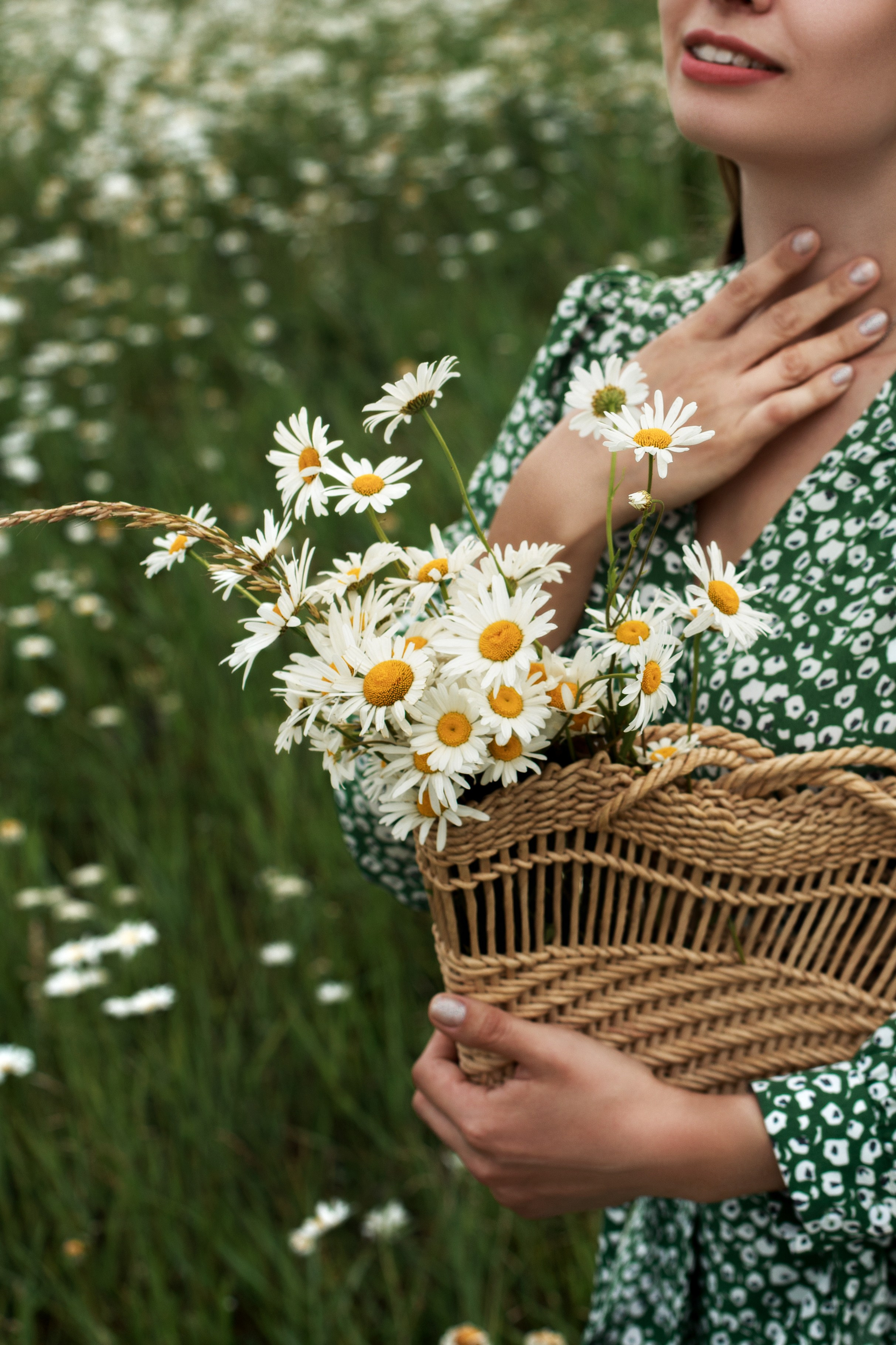 Ромашковое поле — Елизавета. Фотограф Ставрополь Пятигорск Елизавета Дарина