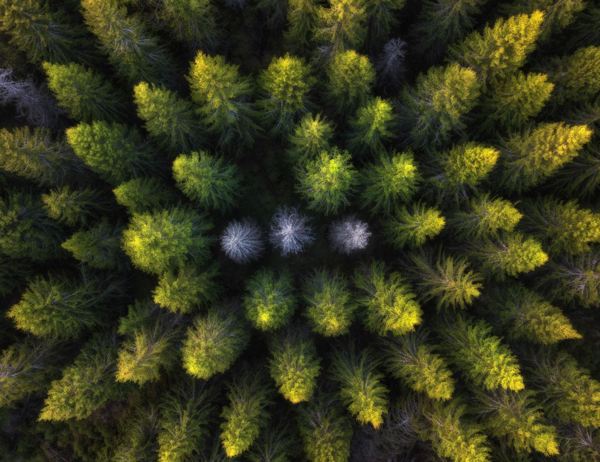 Фотографии Европейская часть России