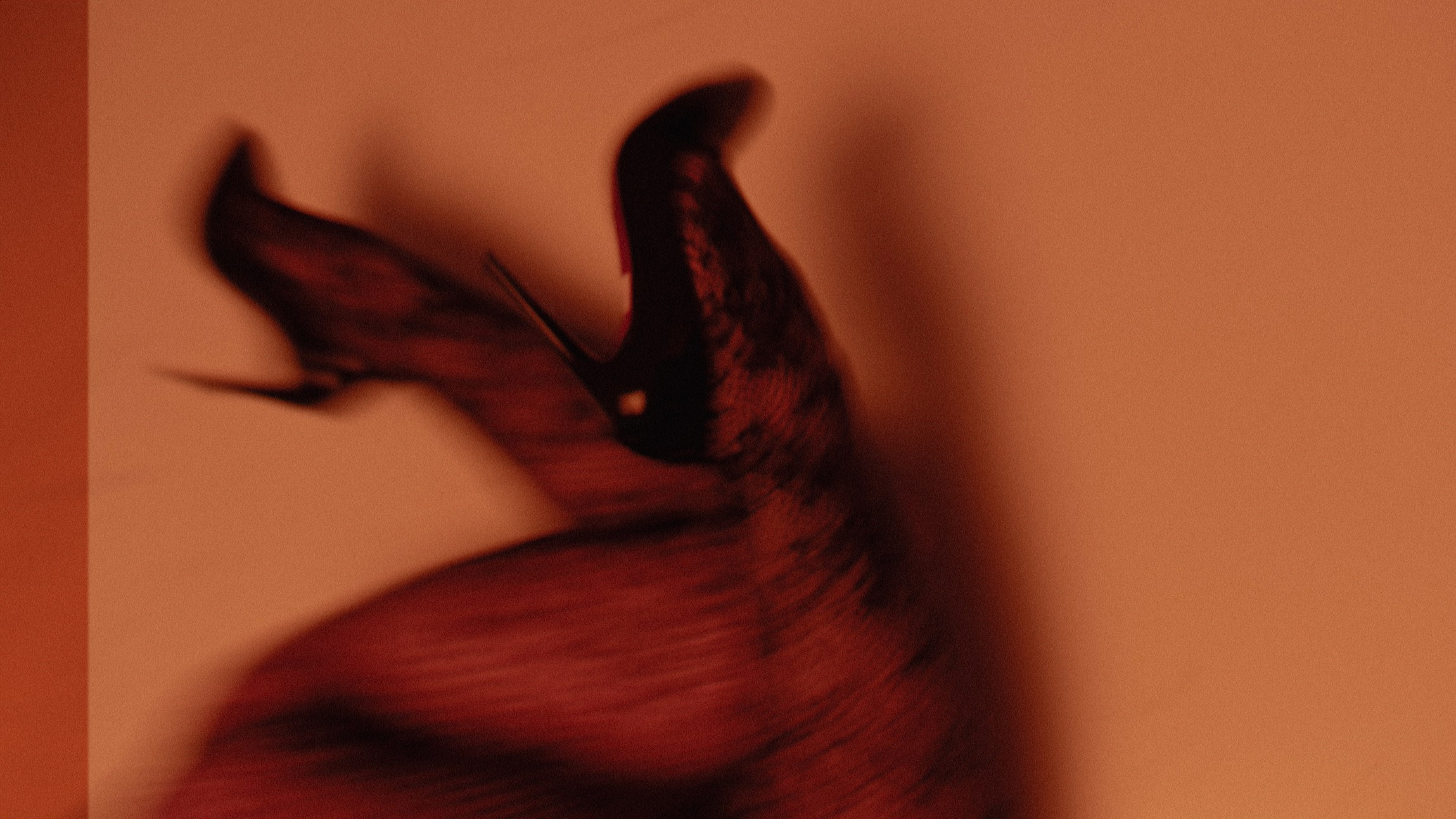 Dancing. Портретный и репортажной фотограф Алексей Волков. Москва, Оренбург