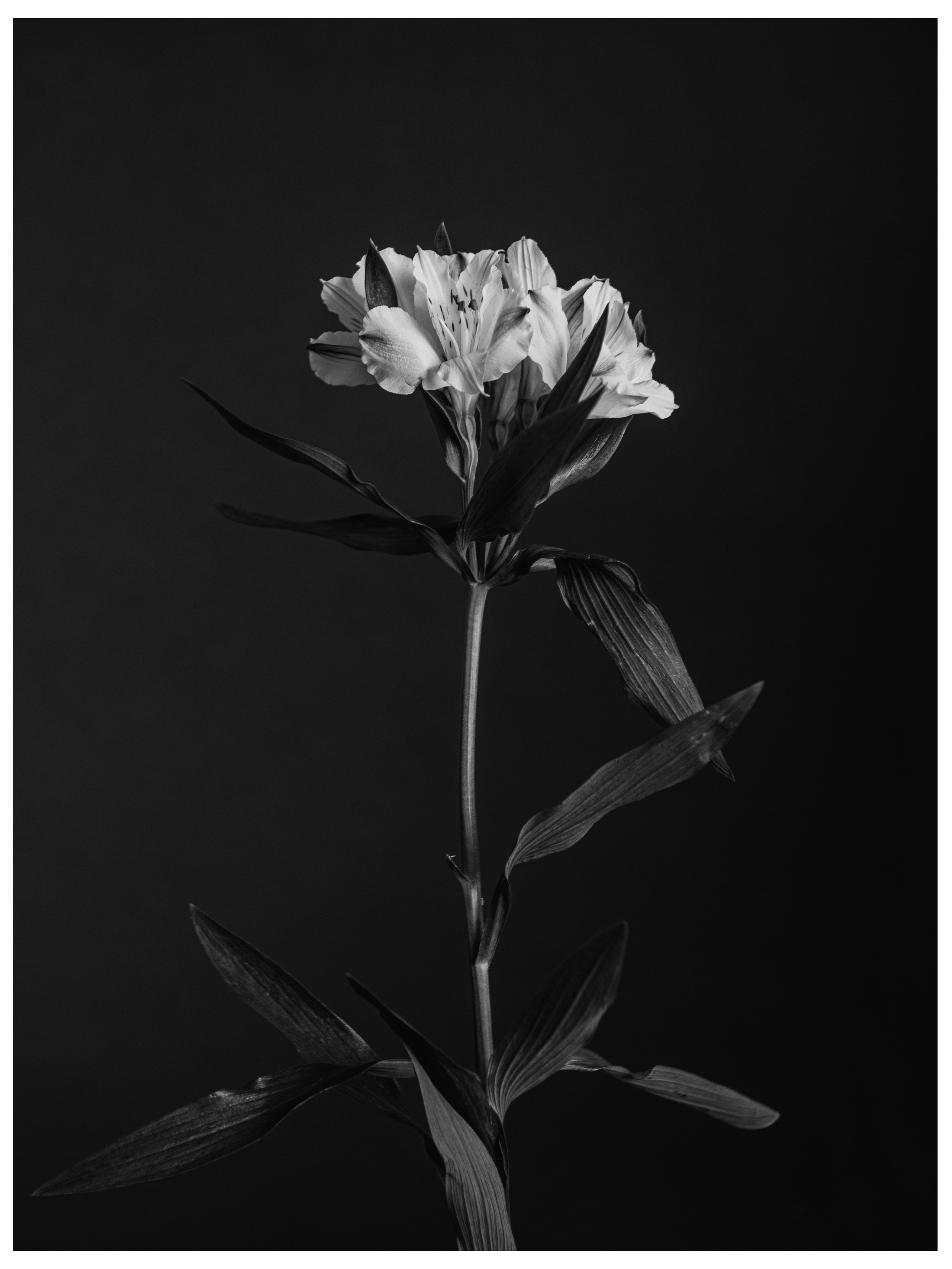 Портреты. Фотограф Маша Ривер Щелково Москва