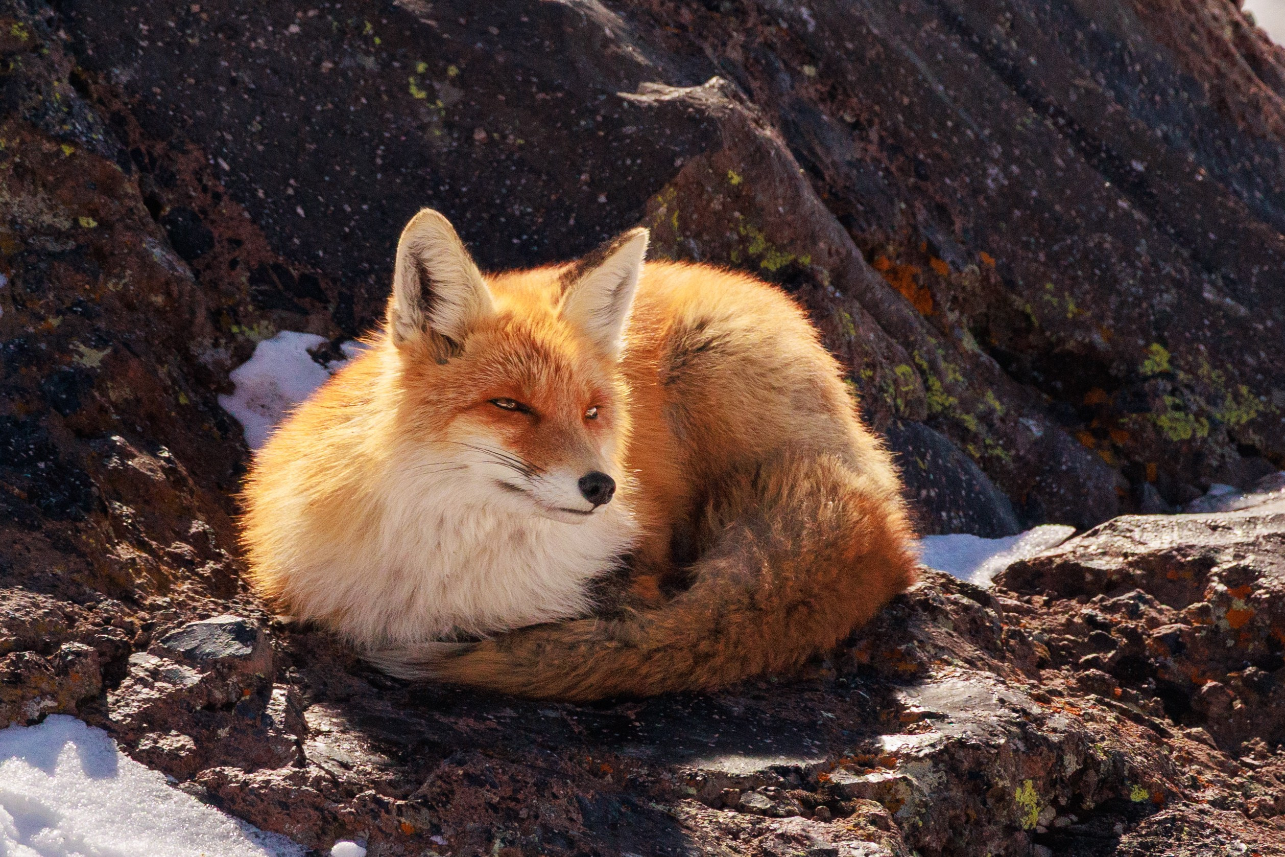 Эльбрус. Фотограф Мальнева Юлия в Липецке, в Москве. Фотостудия MARU в Липецке