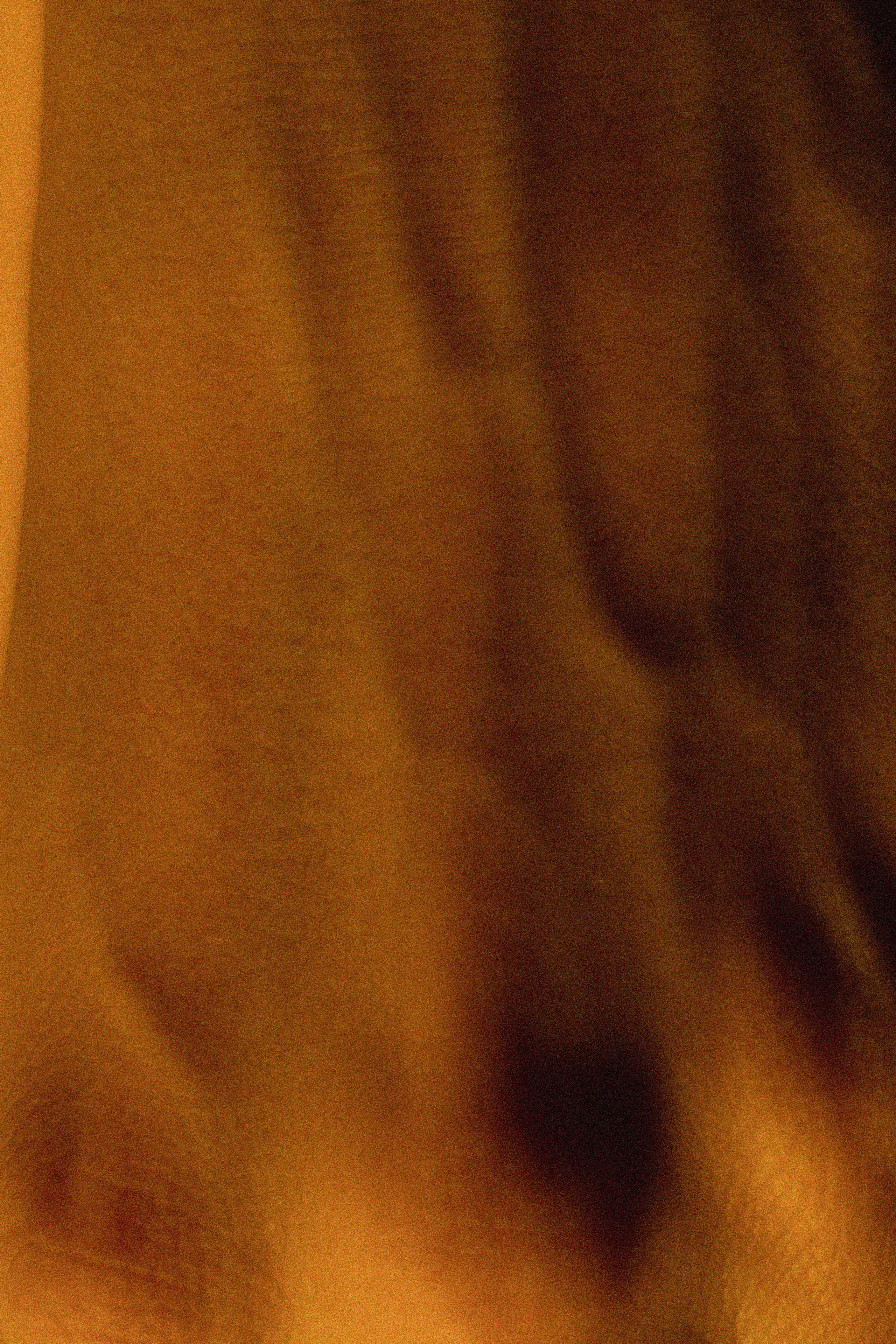 S H A P E. Свадебный фотограф Колесников Антон