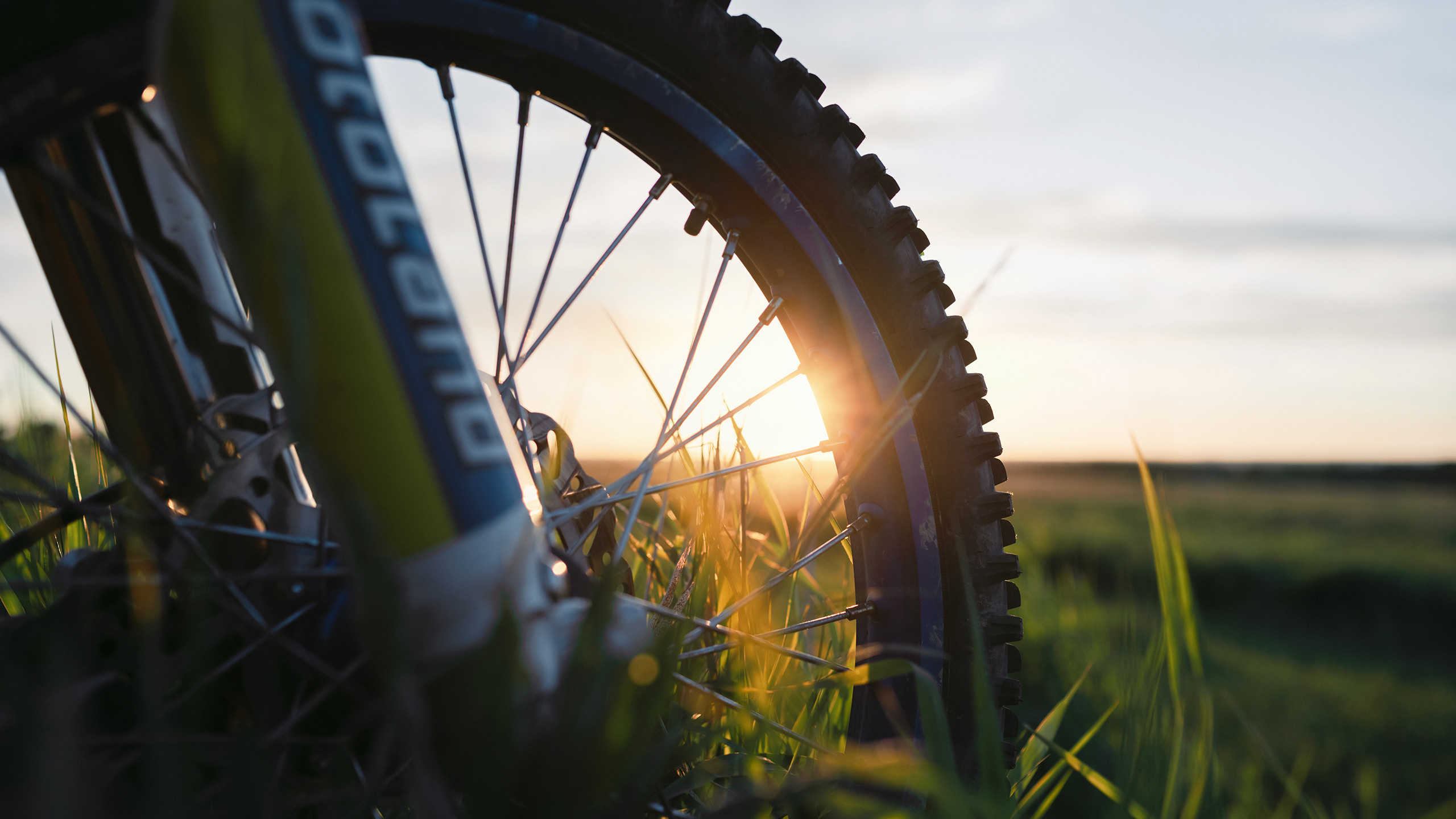 Посреди пастельных тонов. Komonev