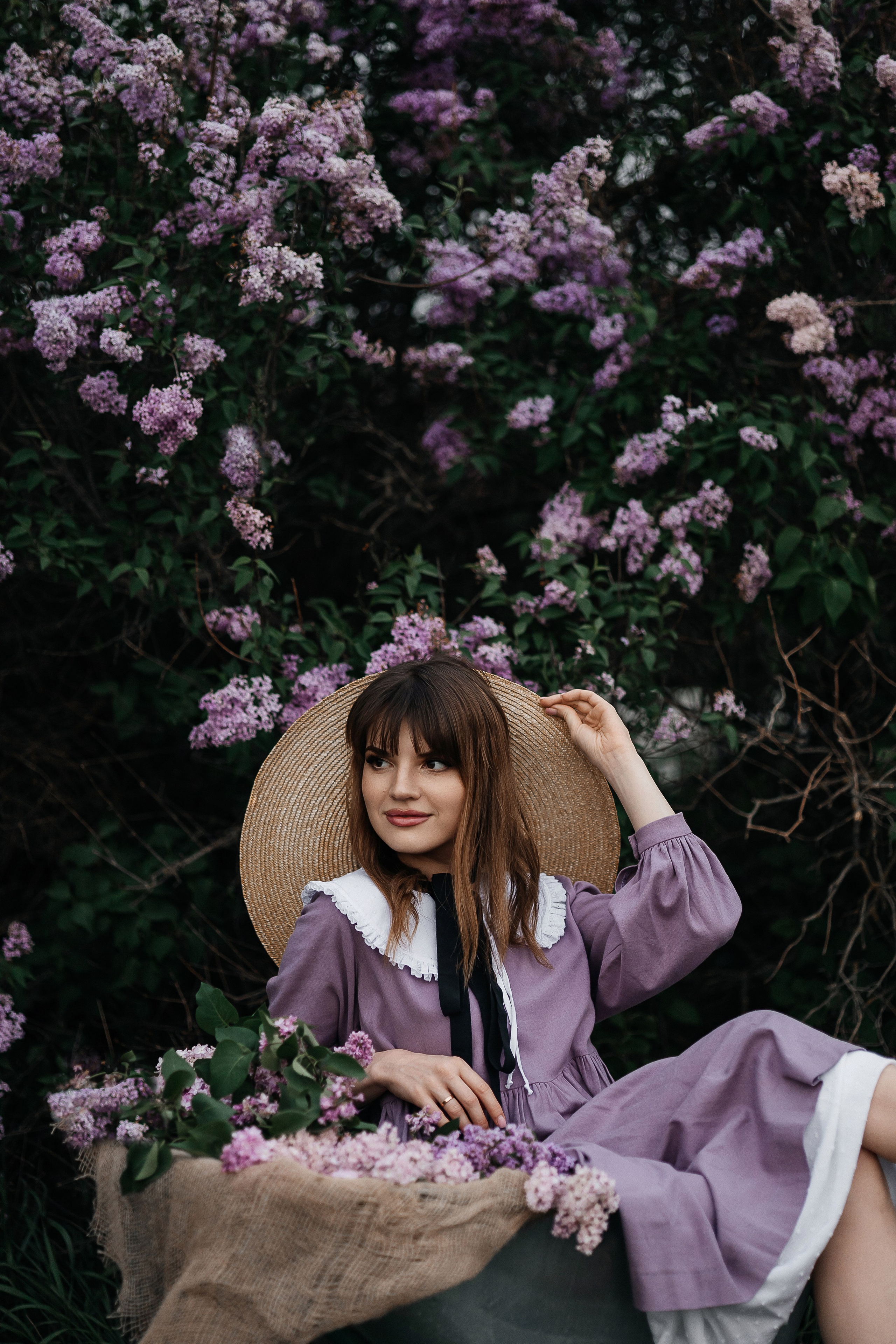 Сирень. Фотограф в Севастополе — Евгения Бойко