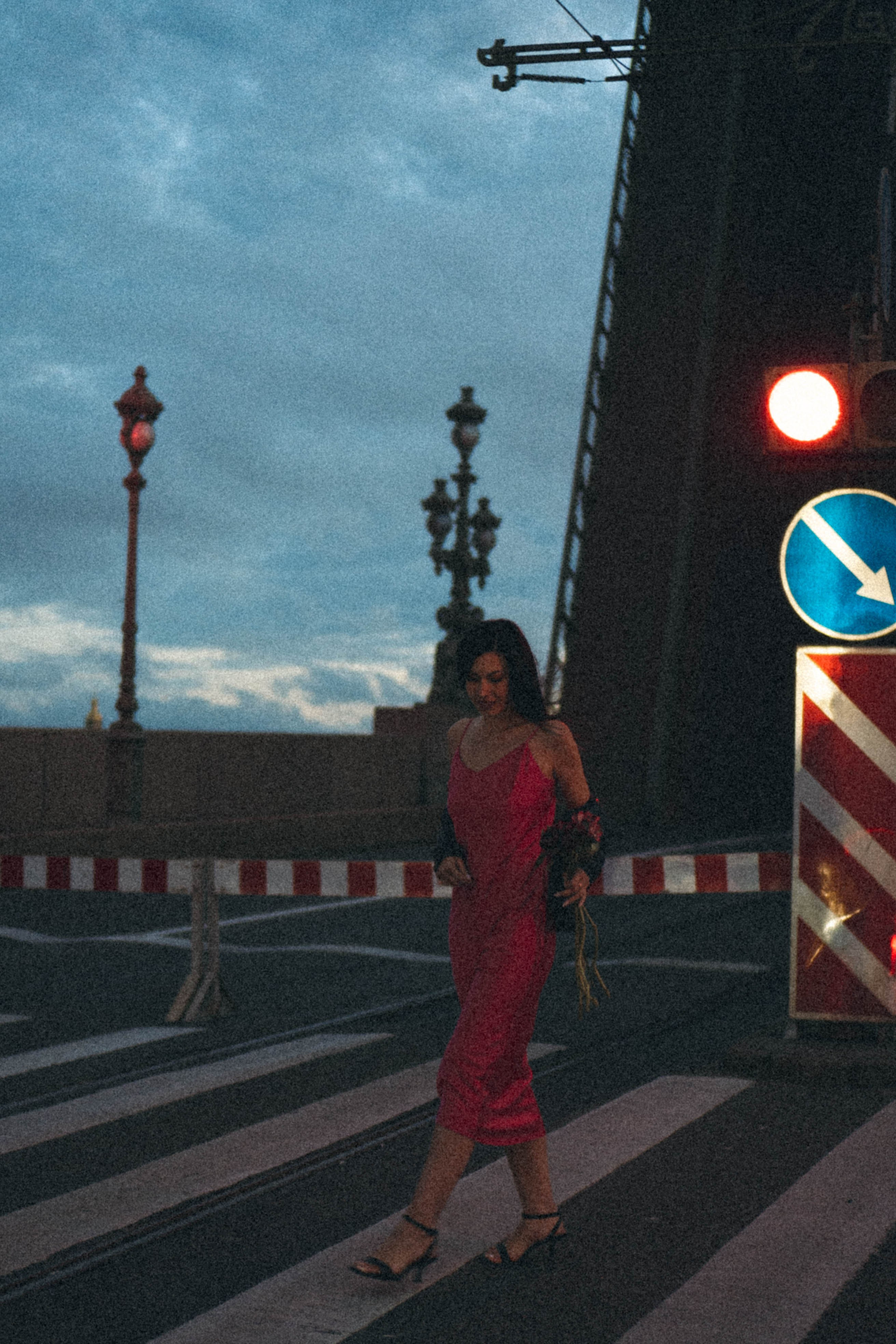 Ночная серия. Профессиональный фотограф, Санкт-Петербург — Виктория Богомолова