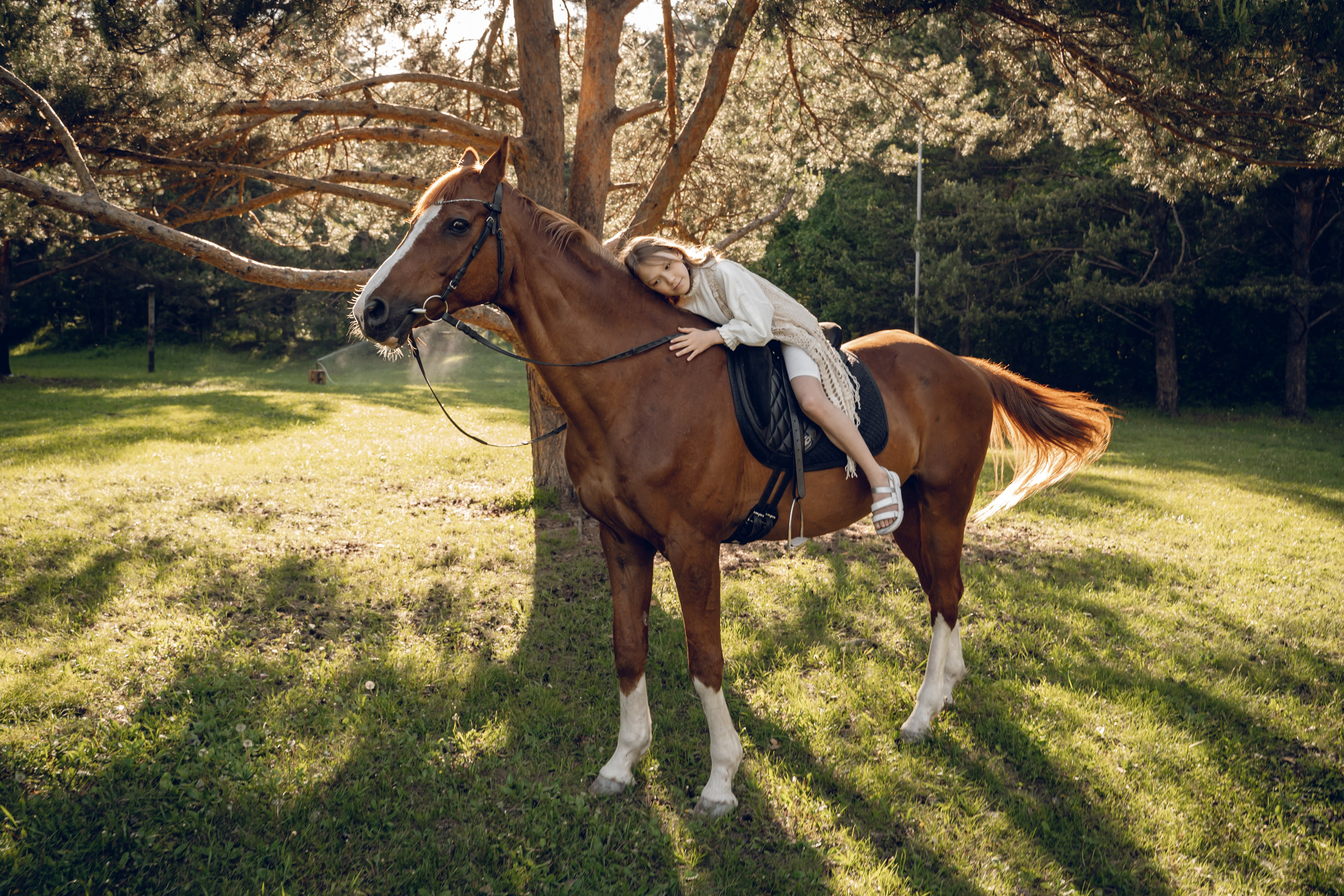 Семейная история с лошадьми. Главная