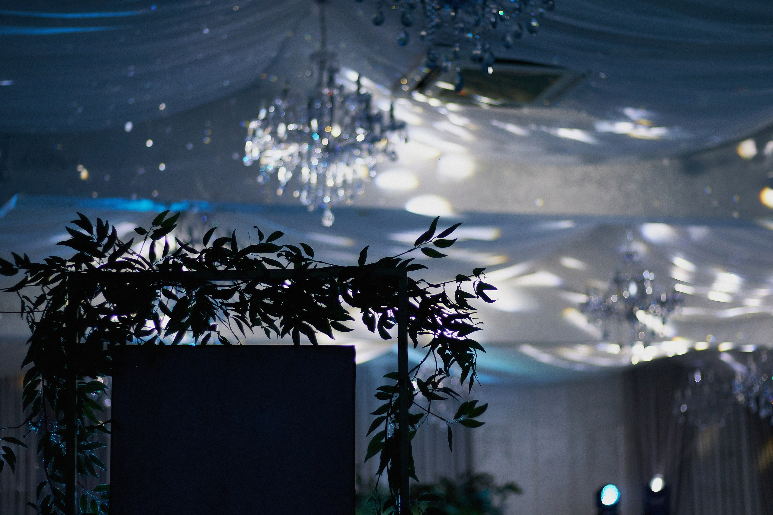 Максим и Виктория. Фотограф в Ростове-на-Дону Нюхарева Виктория