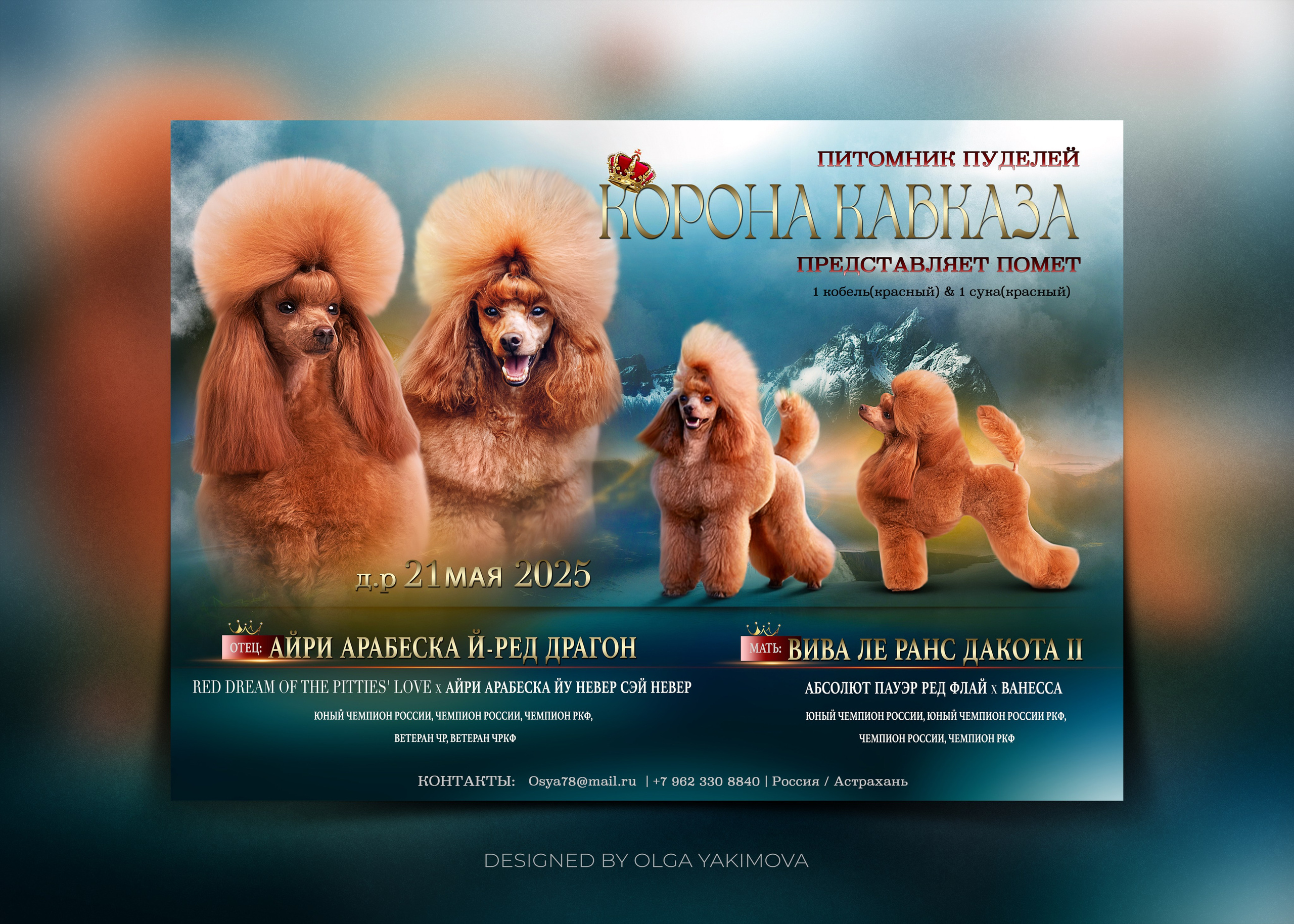 Animal presentation. Фотограф