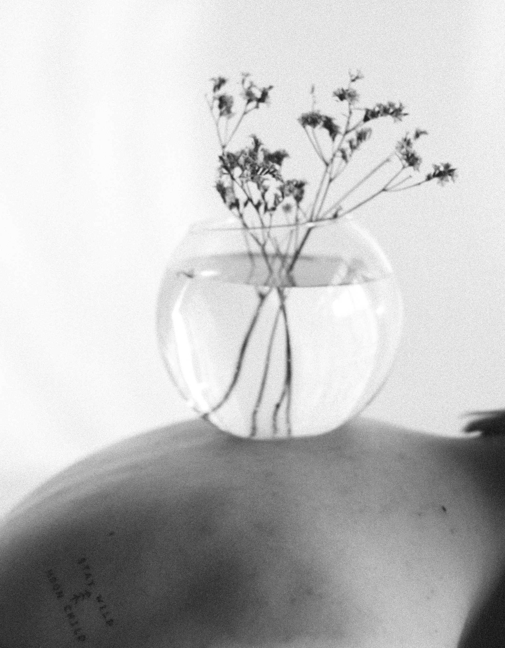 Наташа. Семейный фотограф в Санкт-Петербурге Лиза Чирицо