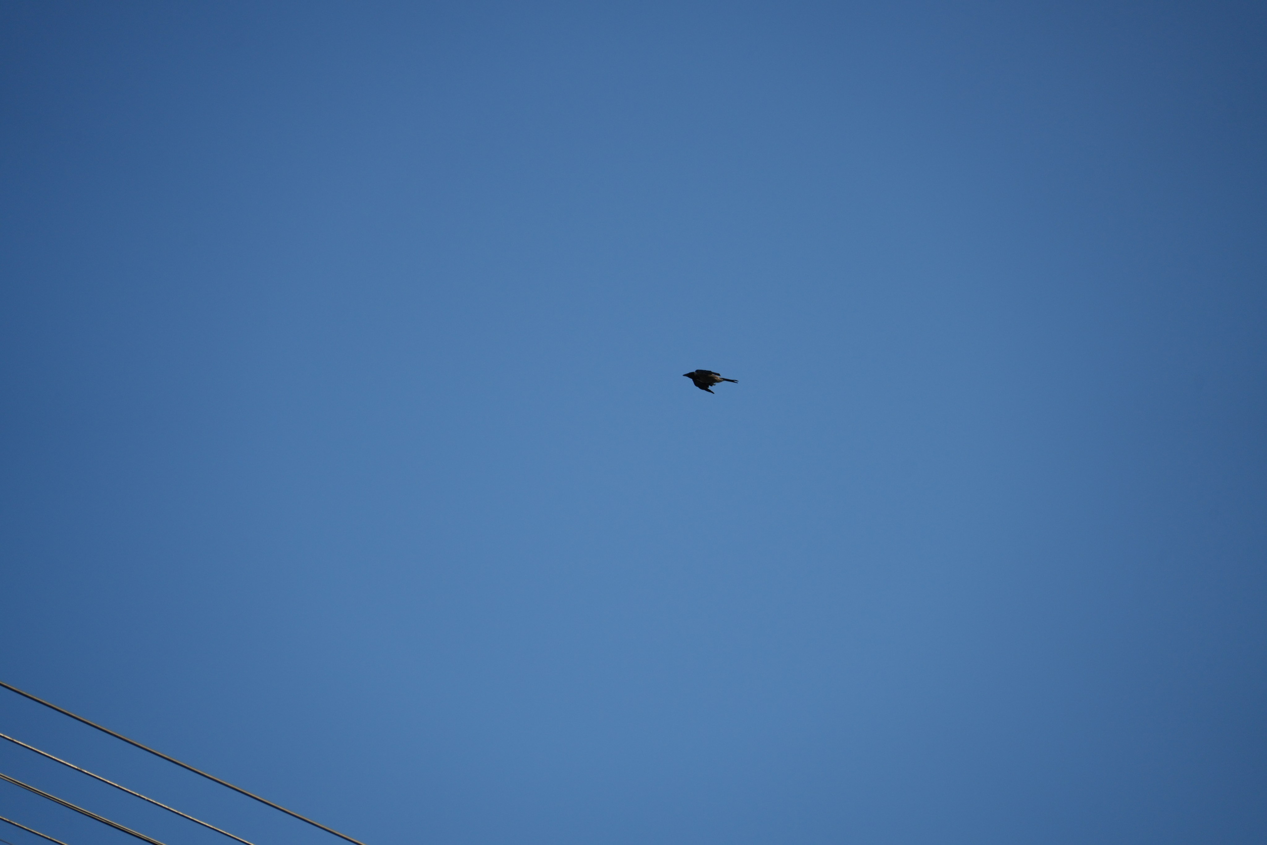 БАЛТИК РАЛЛИ Выборг 2025. Портретный фотограф в Санкт-Петербурге Дмитриева Наталия