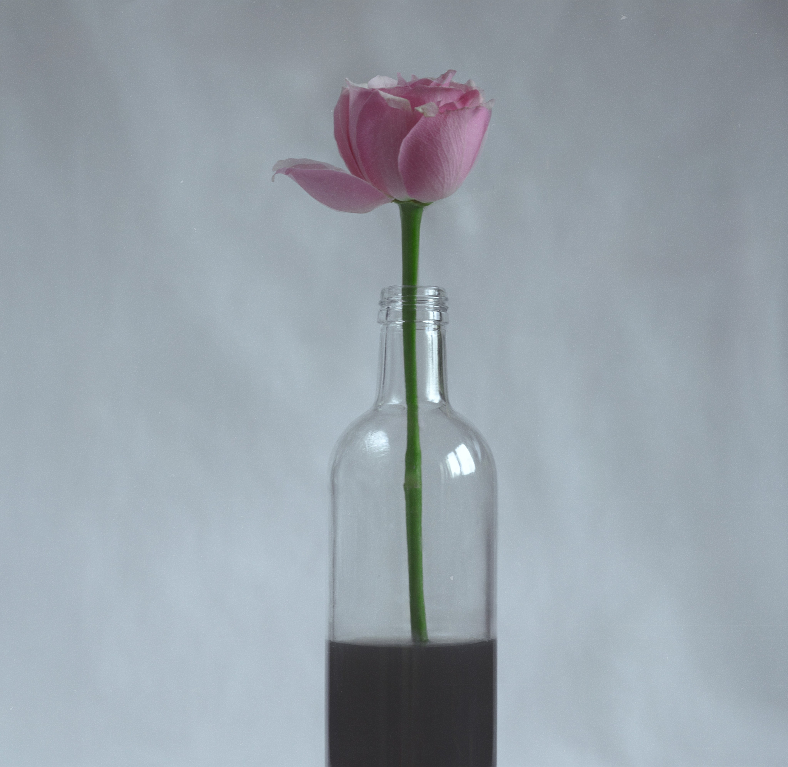 Творчество. Фотограф в Москве Черниговцева Анастасия