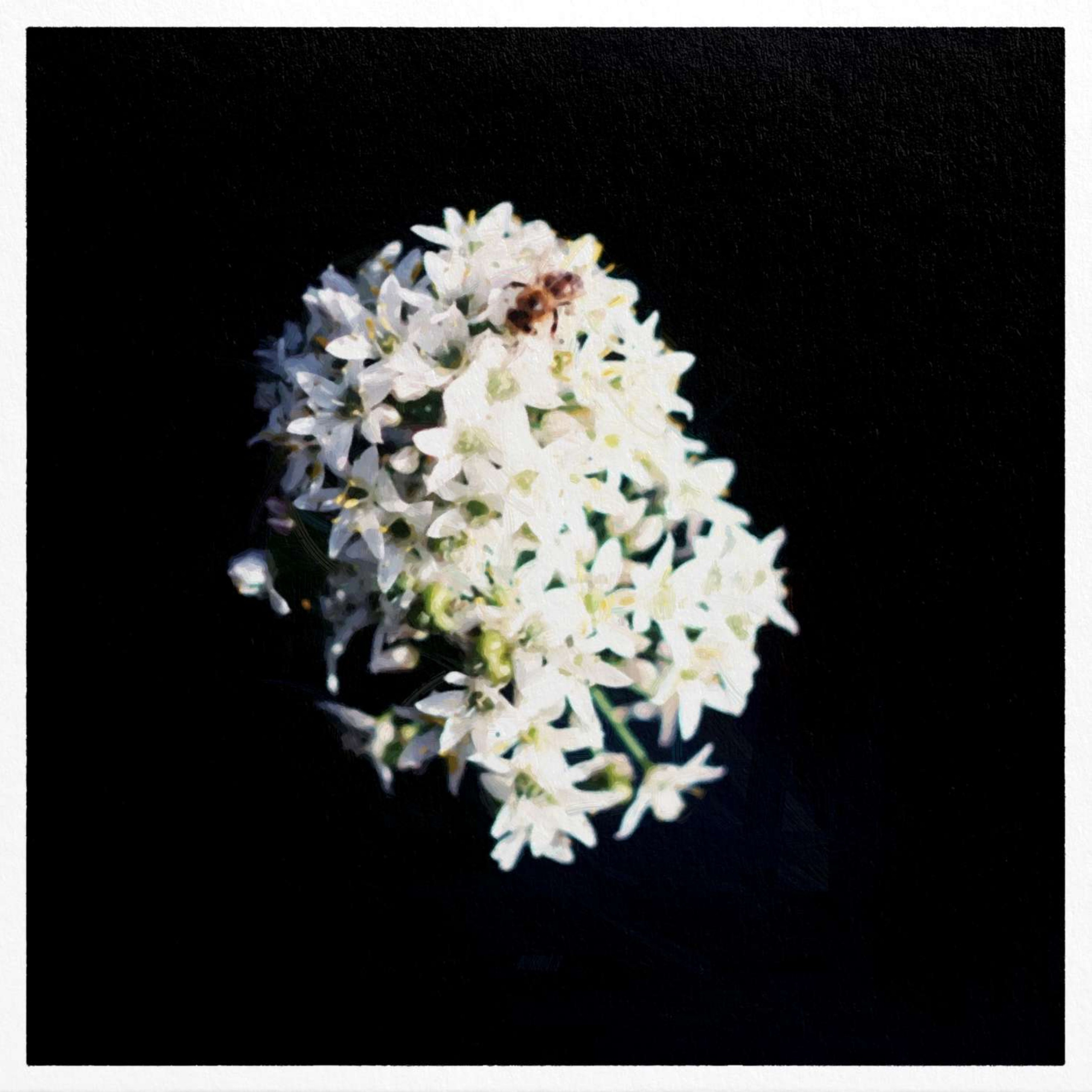 Юля Сидорова