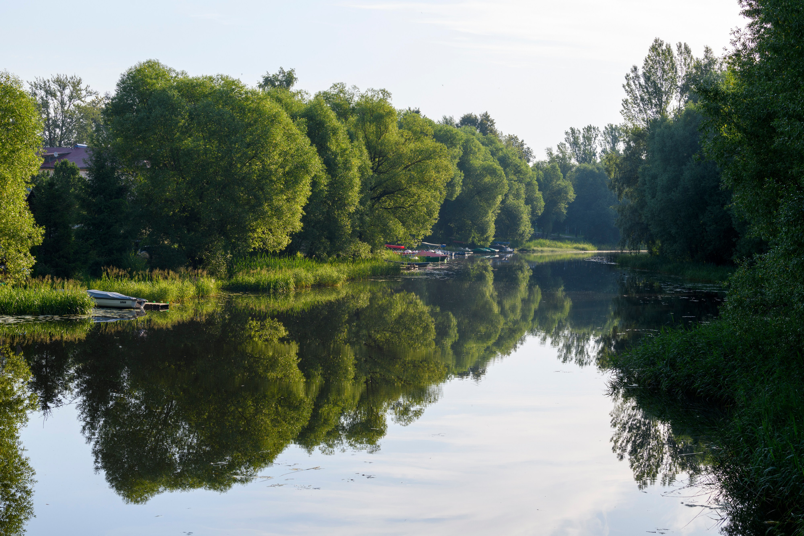 Переславль-Залесский. Wildlife photography by Sergey Puponin