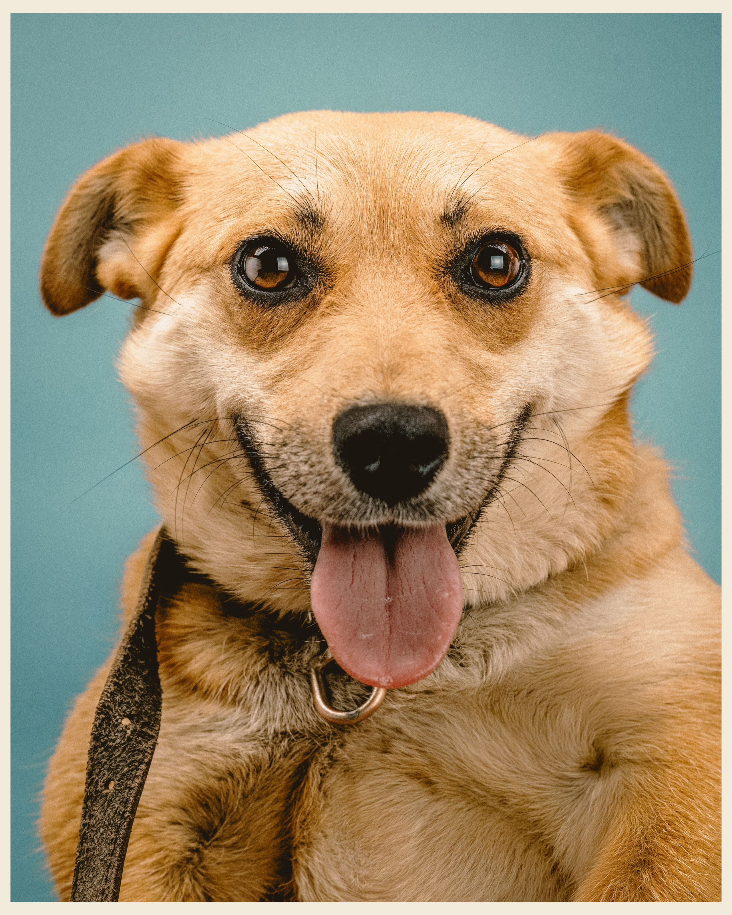 OM x VANO. Ivan Petrov photographer