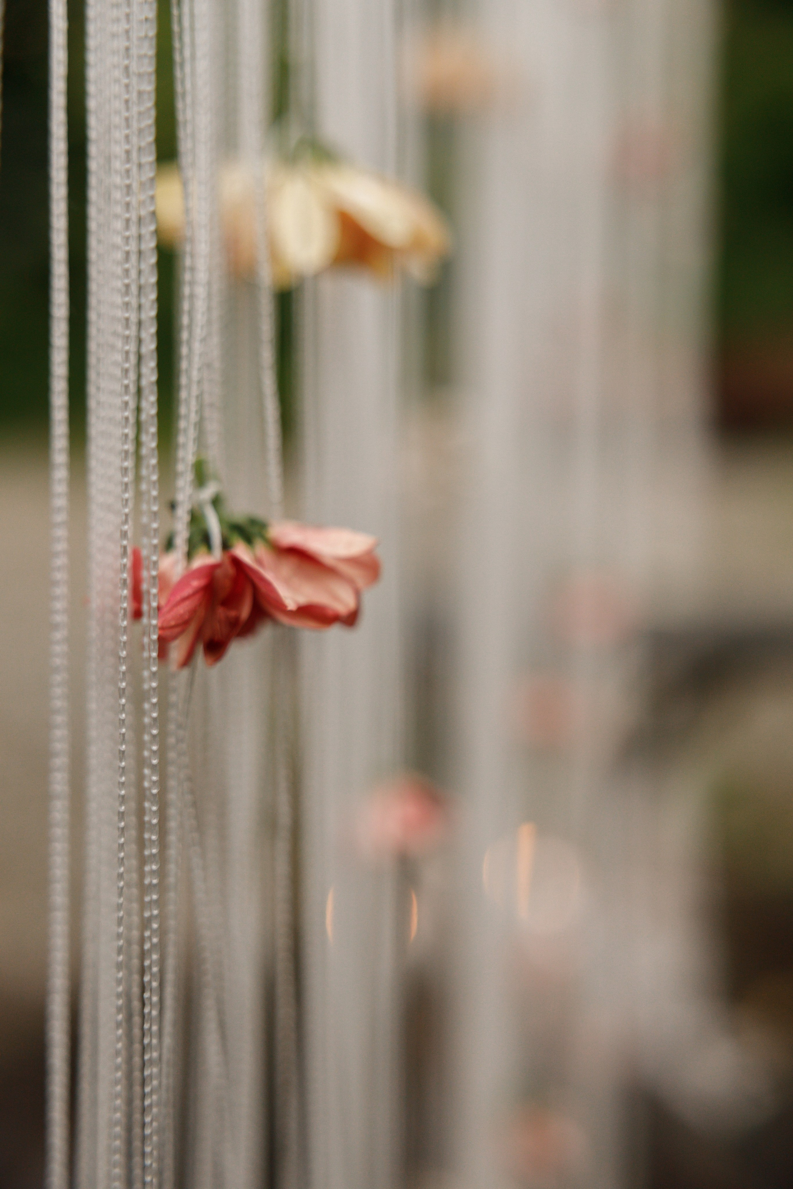 Анастасия и Владислав. Свадебный и семейный фотограф  во Владивостоке Ольга Украинец