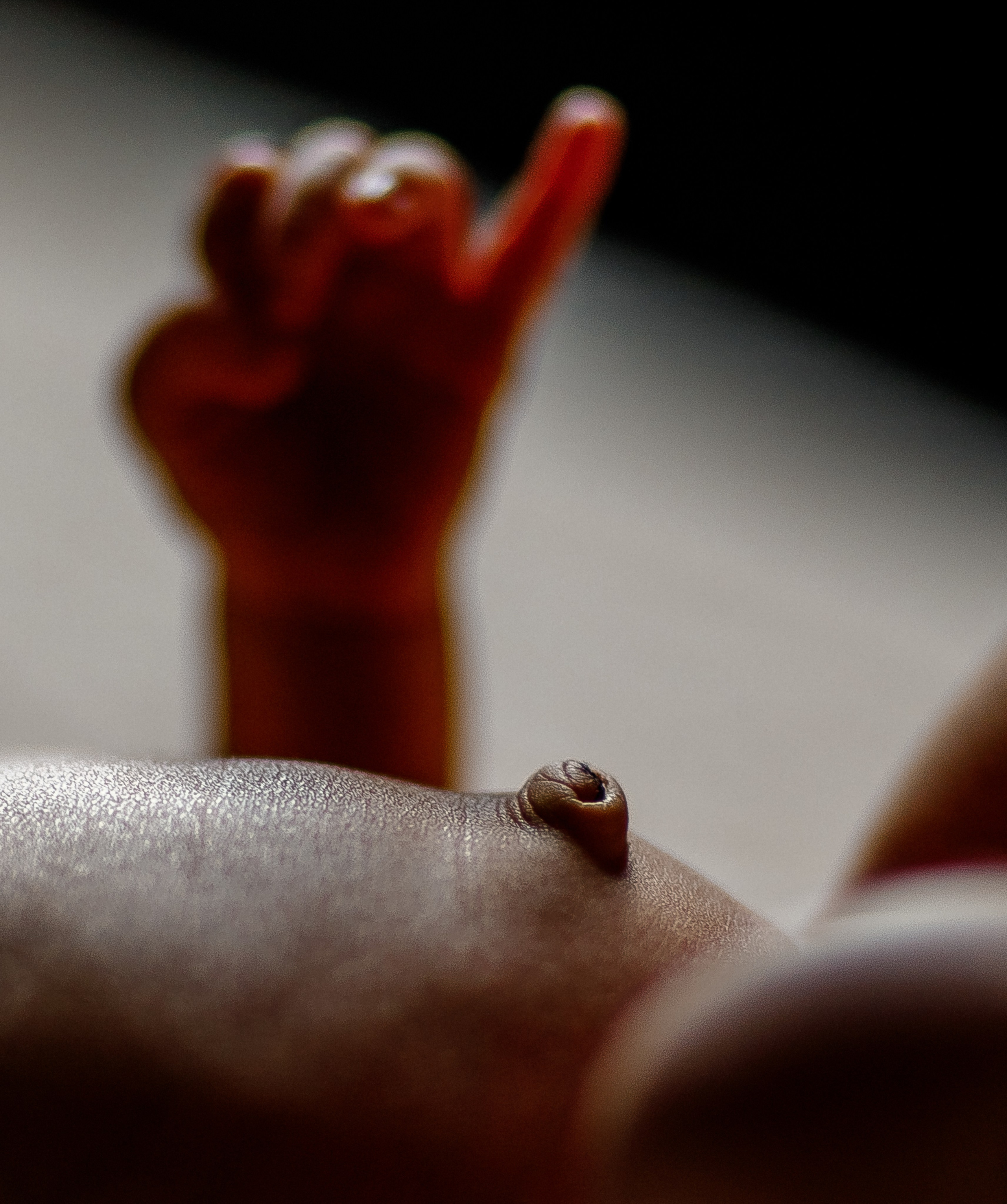 Грудное кормление. Фотограф материнства и таинства кормления Екатерина Кузьмин