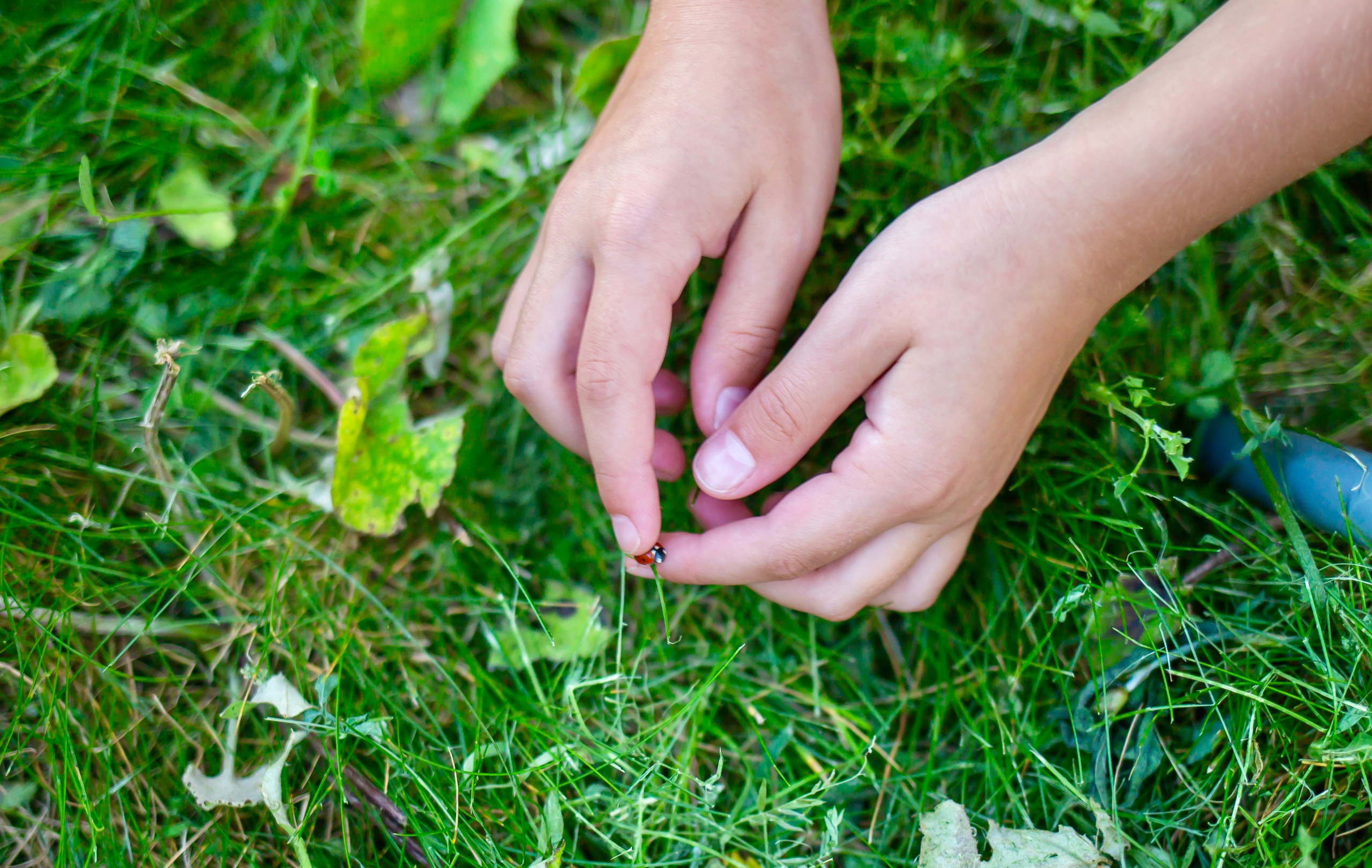 Happiness. Фотограф Анастасия Абрамова