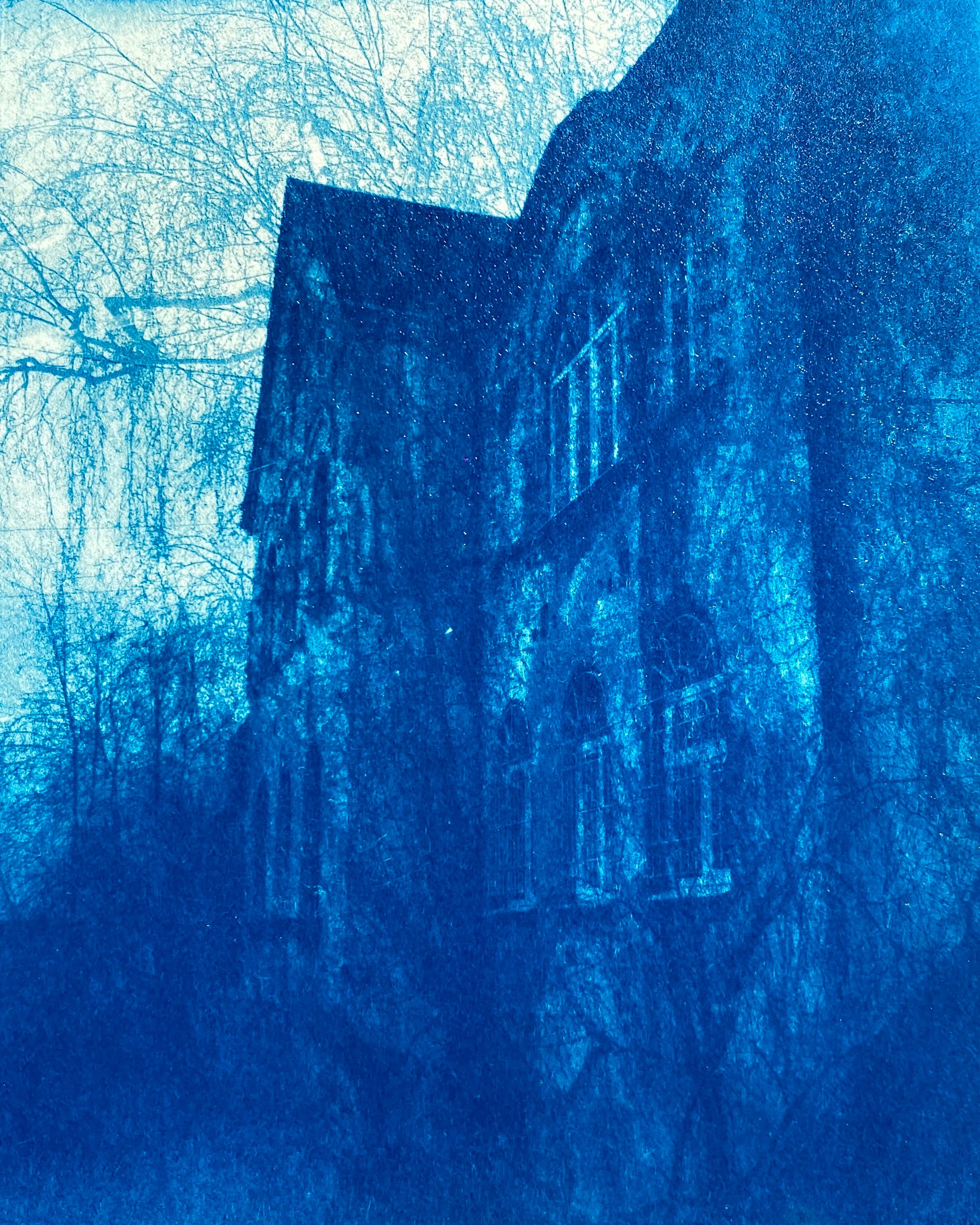 CYANOTYPE. ANNA — PHOTOGRAPHER
