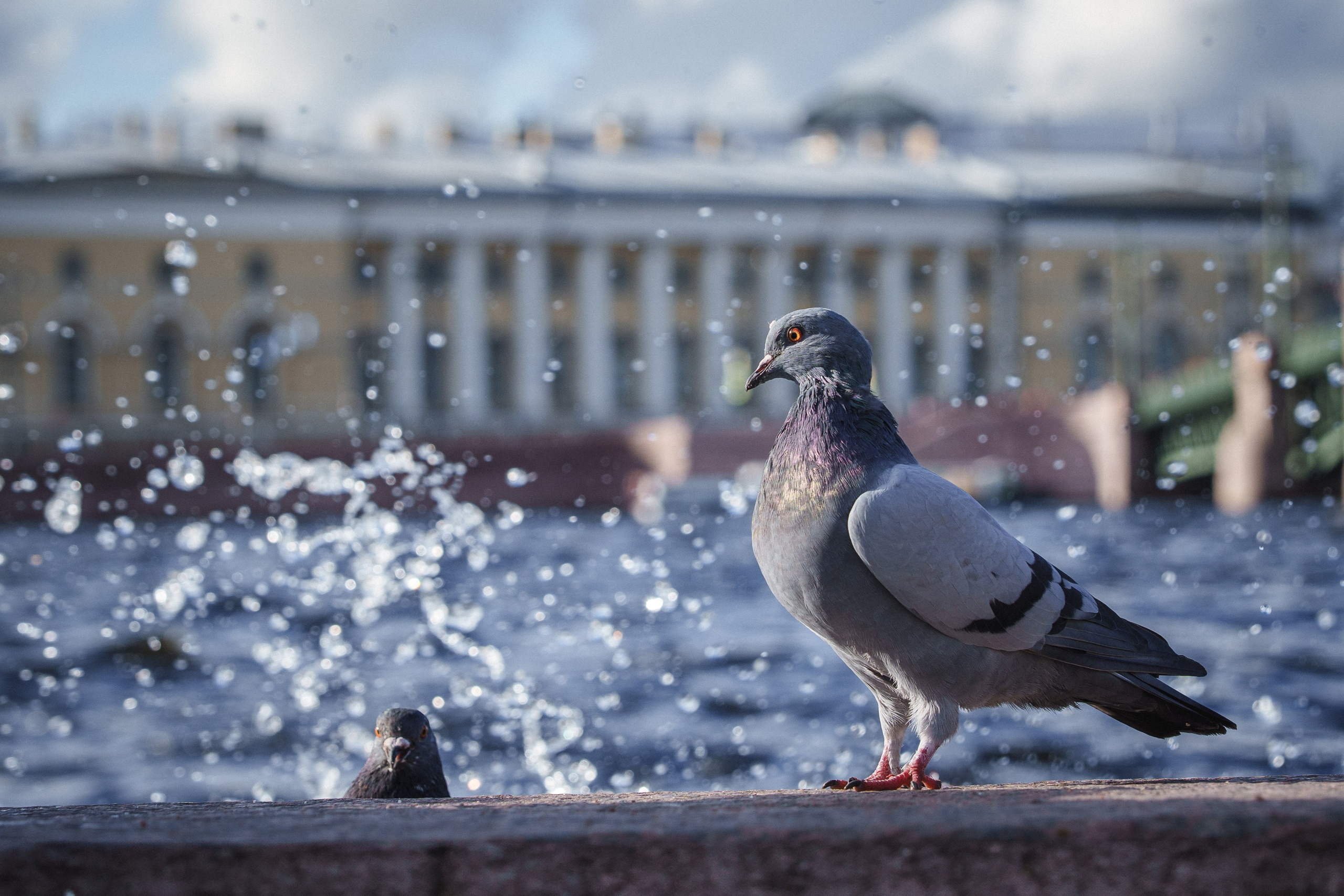 Фото-прогулка. Пенкин Александр