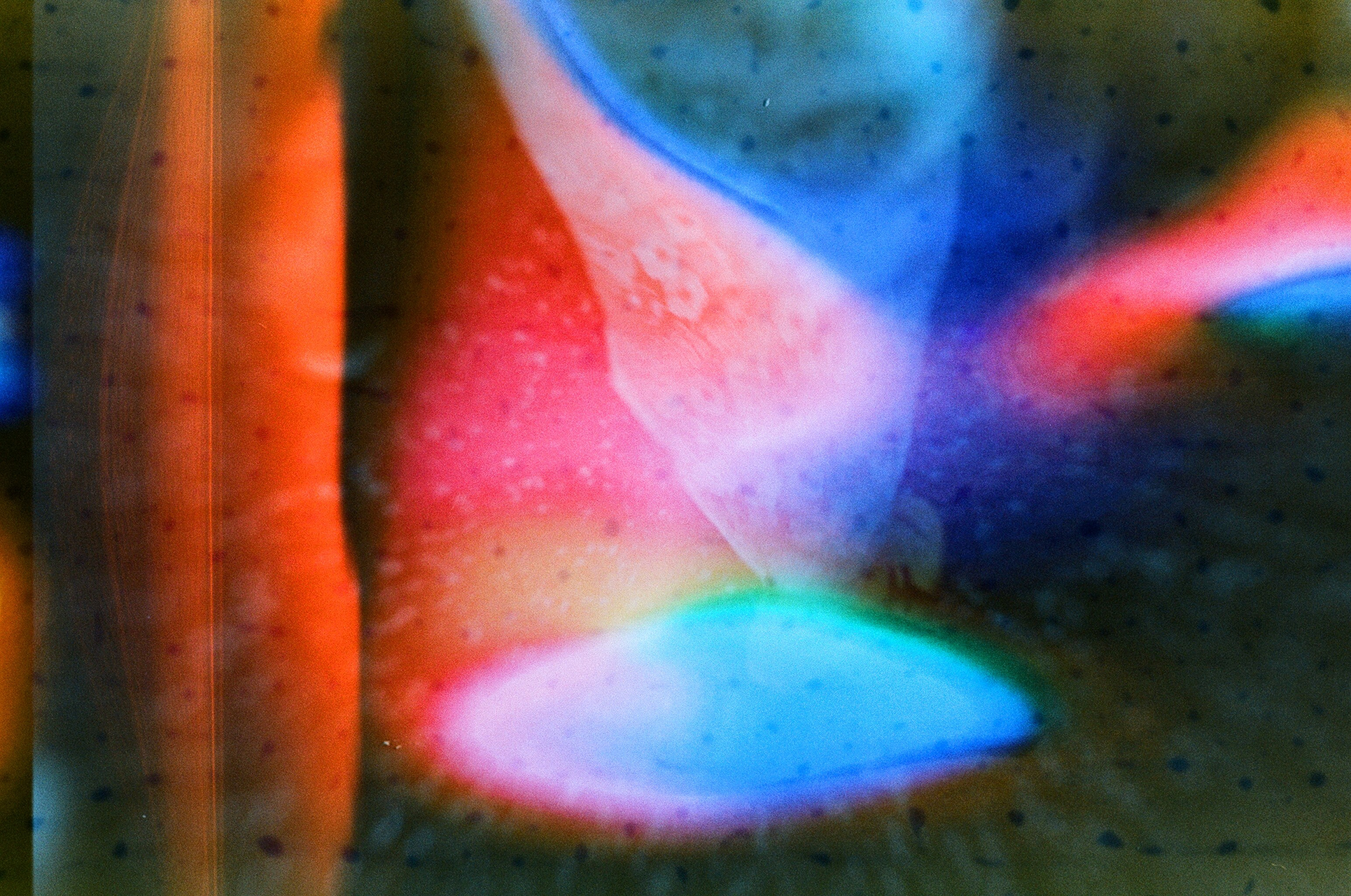 JAPAN FILM. International visual artist