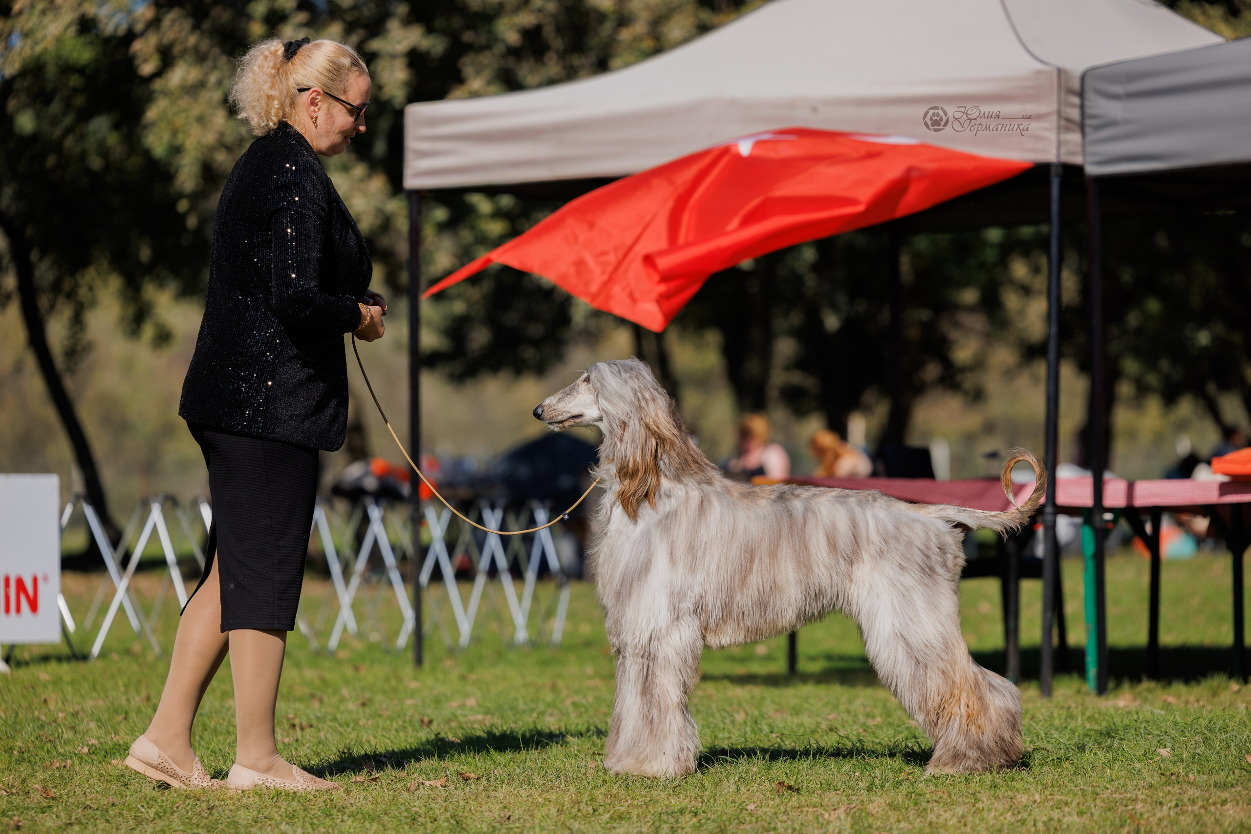 Туция,Стамбул 2хCACIB 26-27.10.24. Фотограф-анималист Юлия Германика