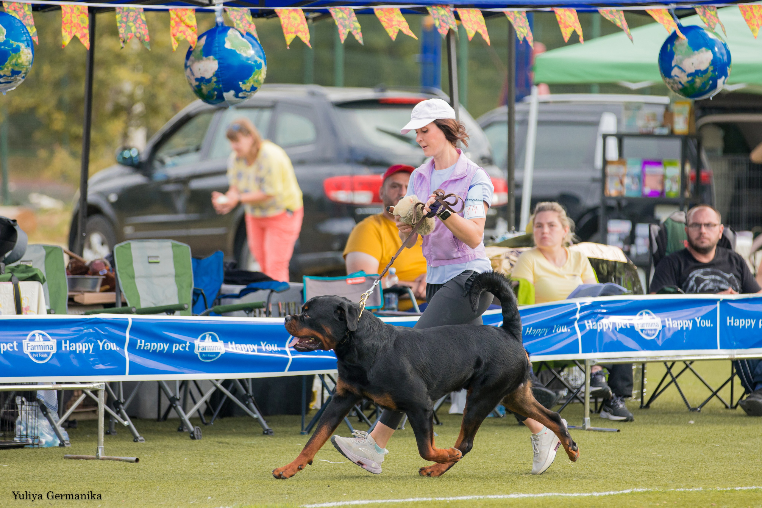 Анапа 16-17.09.2023 моно ротвейлеров. Фотограф-анималист Юлия Германика
