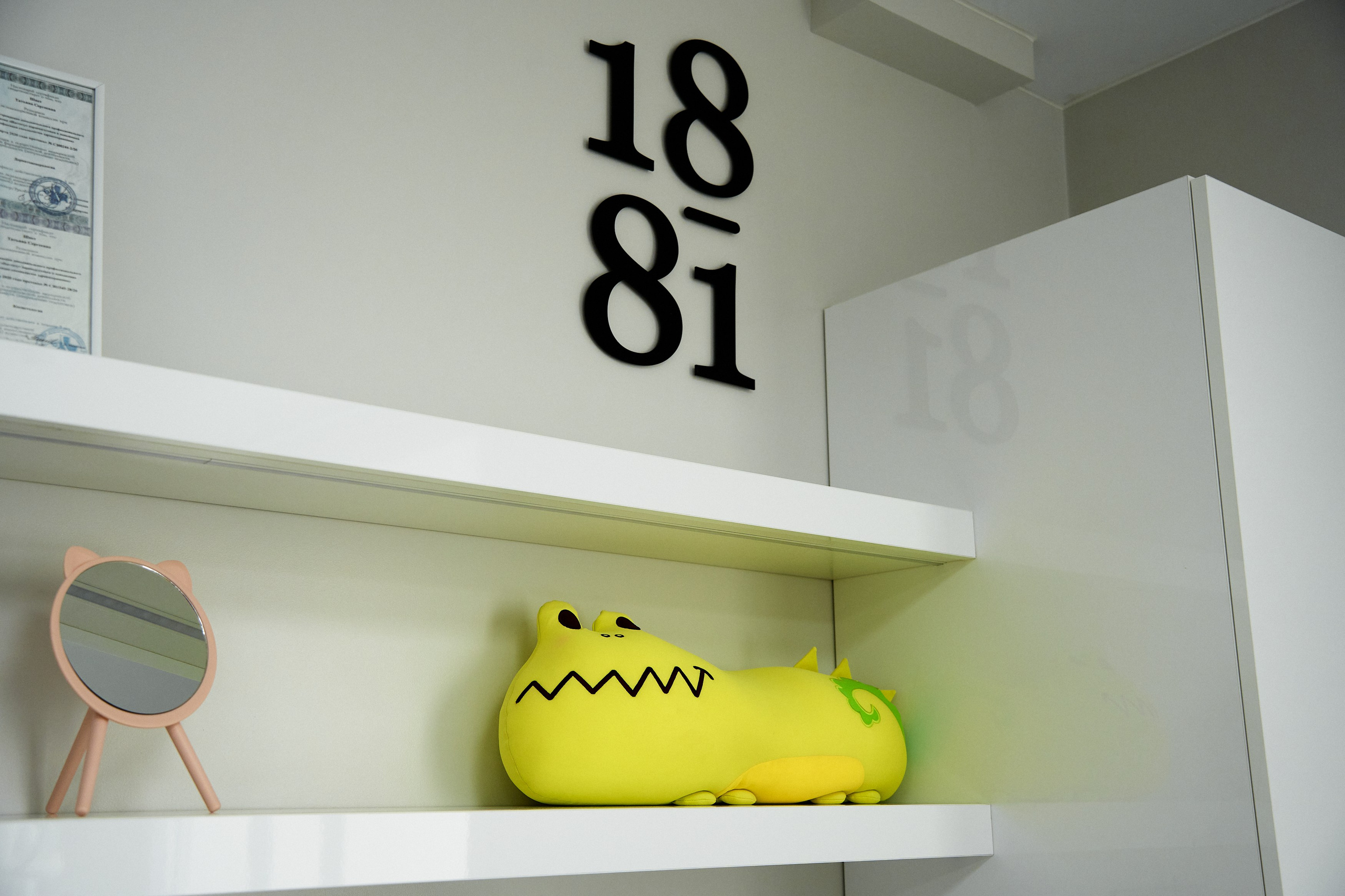 Интерьерная съемка 1881. Фотограф в Хабаровске