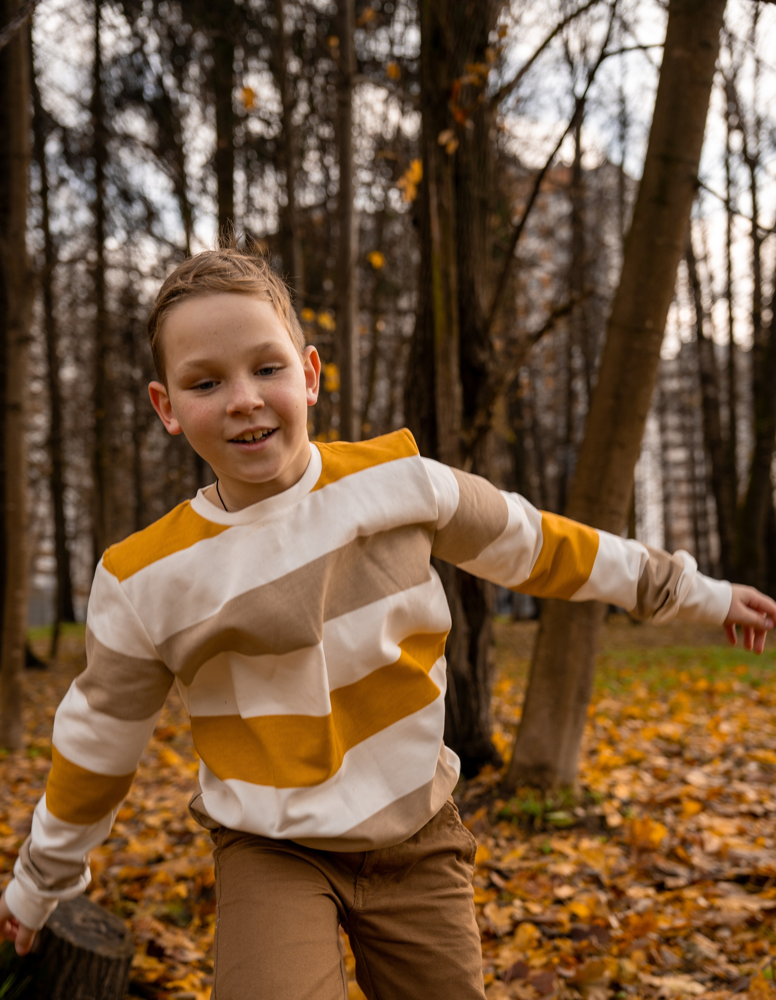 Осень. Детский и семейный фотограф в Краснознаменске Гостеева Екатерина