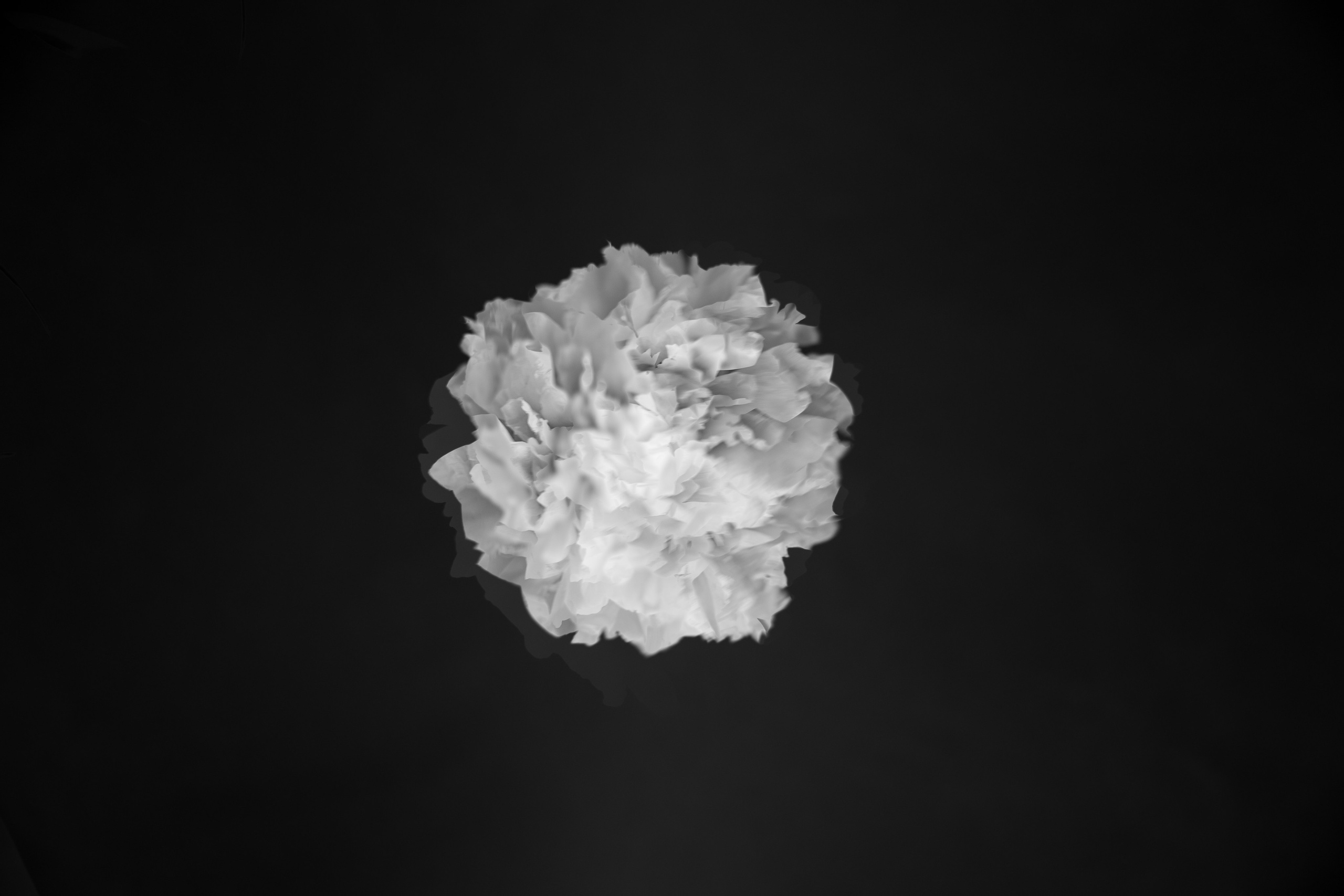 Точка сборки | The assembly point. Фотограф алина стерхова, алина стерхова фотограф, фотограф москва