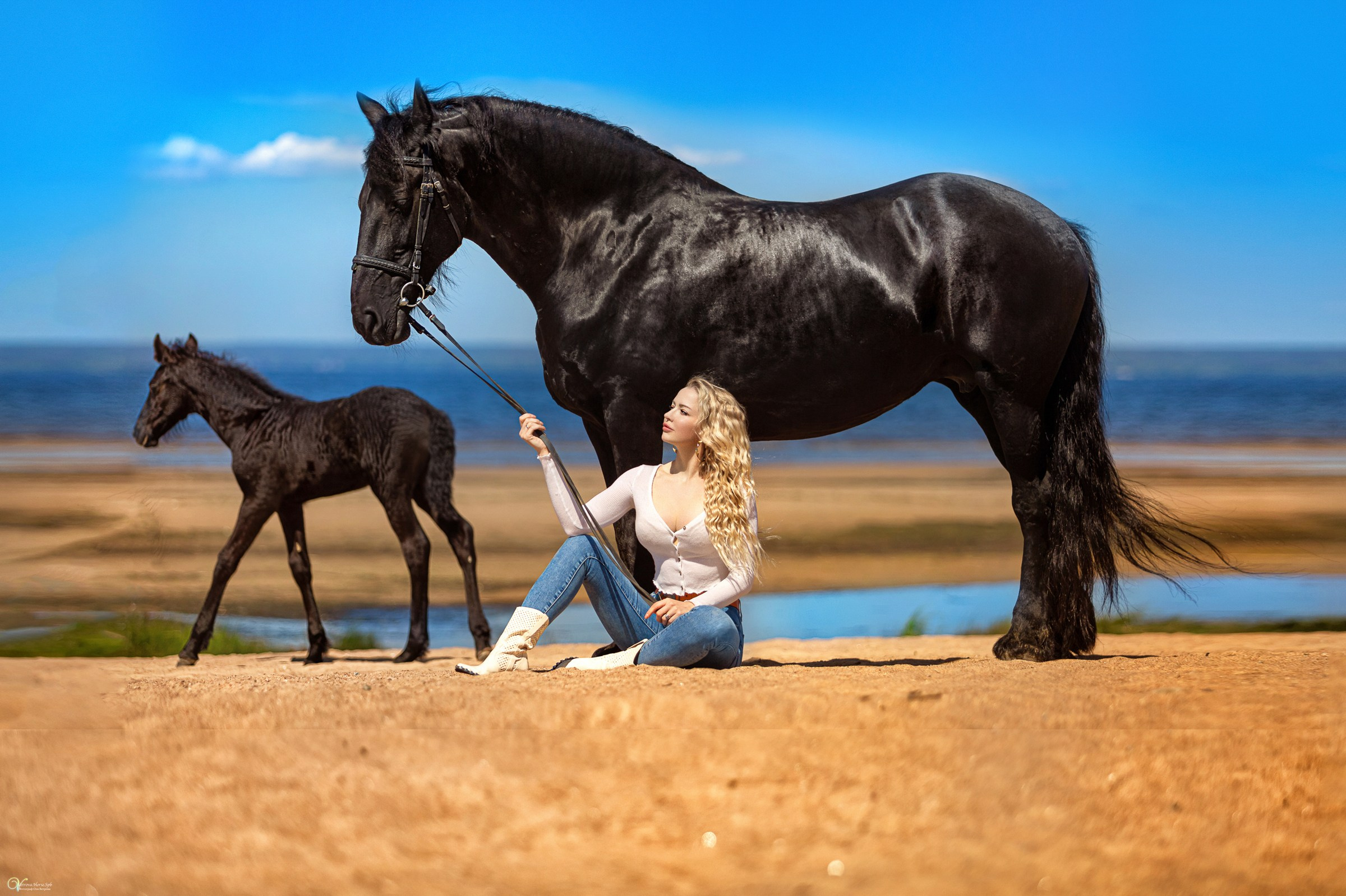 Фотосессии с лошадьми летом. Фотограф женский и мужской портрет Санкт-Петербург