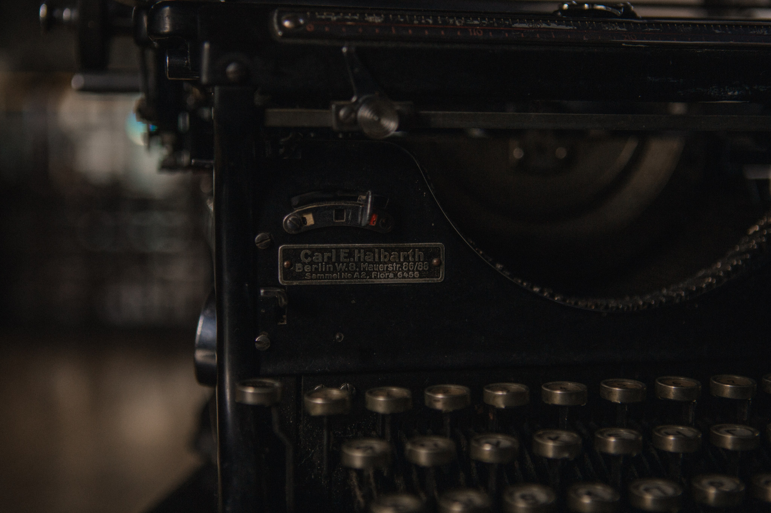 Inga. Portrait, family and pet photographer in Cyprus, Ksenia Bourdelle